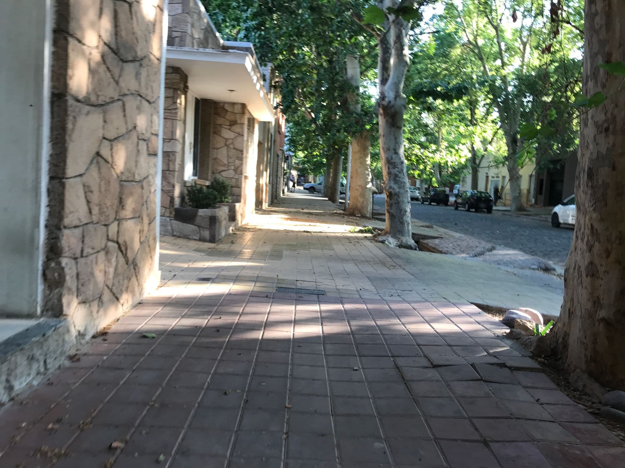 Street view near Hostel Empedrado, Mendoza