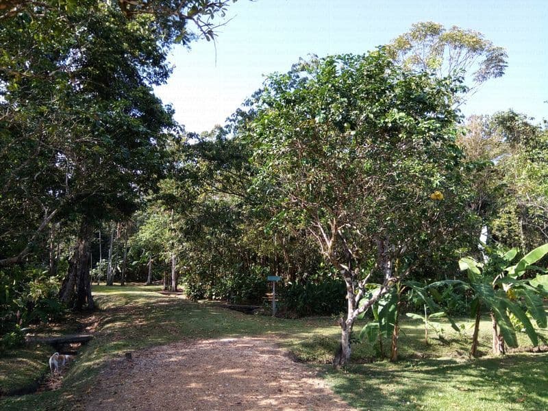Street view near Surinat Luxury Resort, Tamanredjo — © janvanbekkum (CC BY-SA · Mapillary)