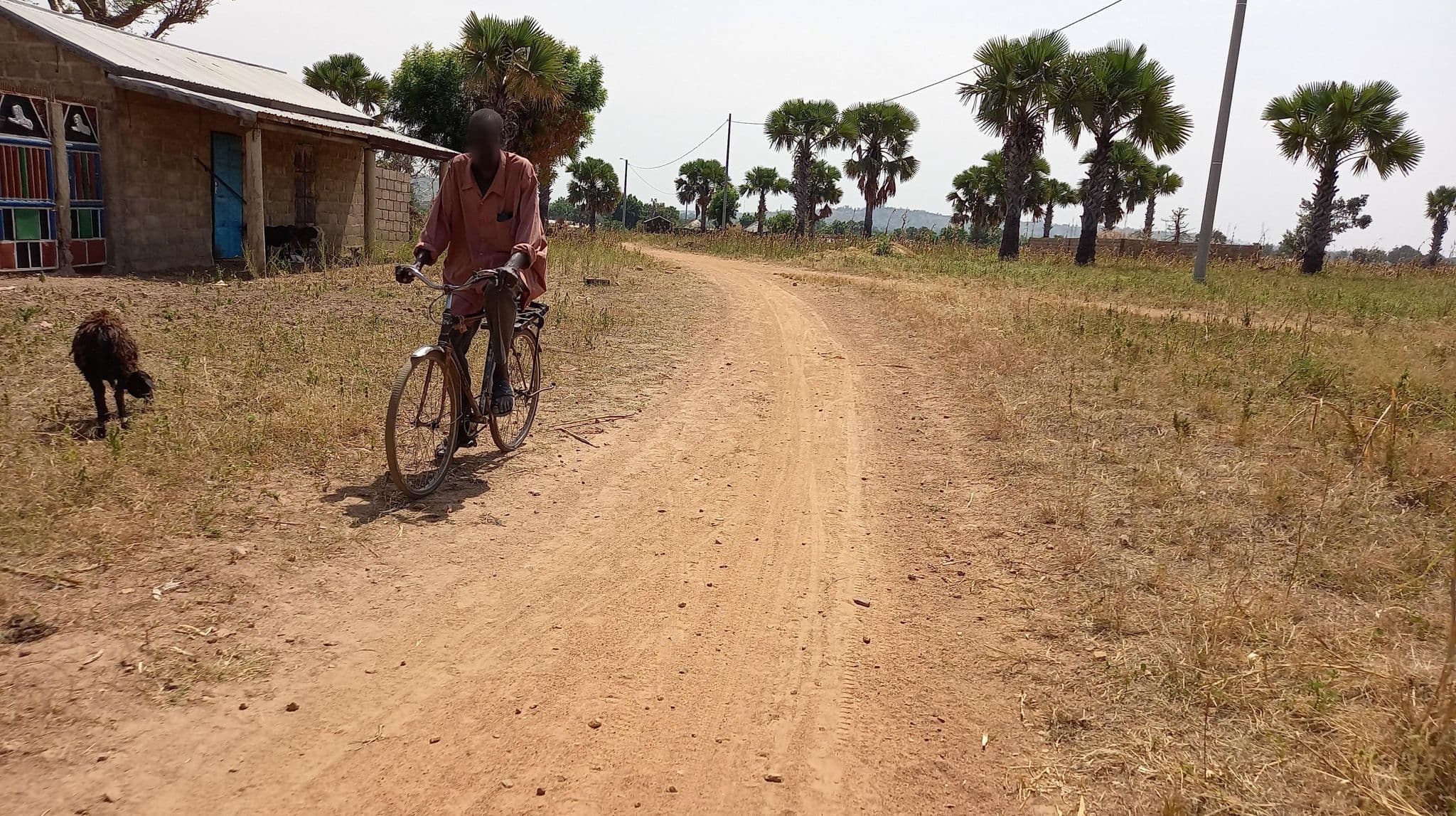 Street view near Malaria Survey, Dapaong — © Ditorama (CC BY-SA · Mapillary)