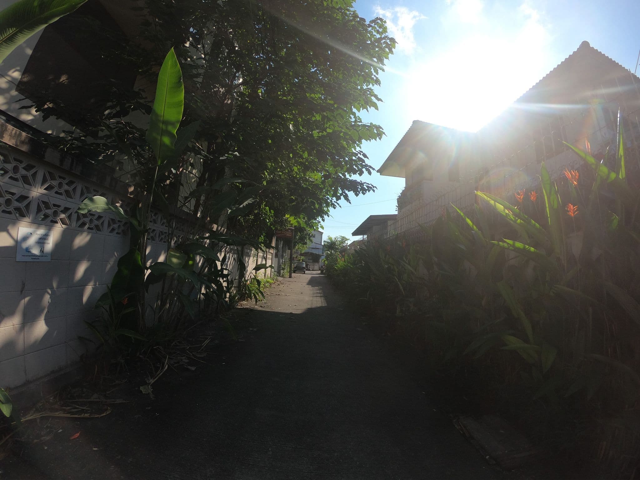 Street view near Smile Guesthouse, Chiang Mai