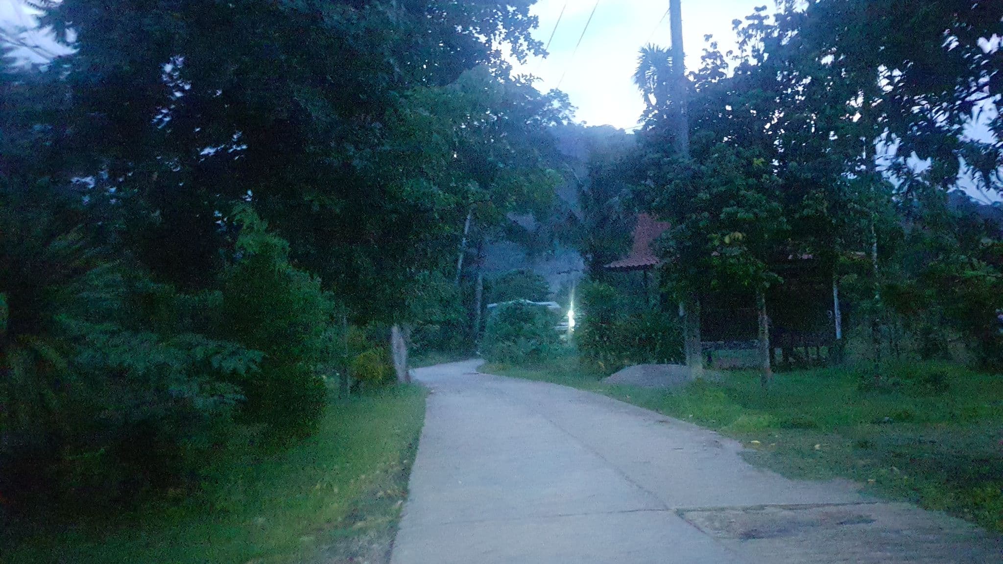 Street view near Bamboo House, Takua Pa