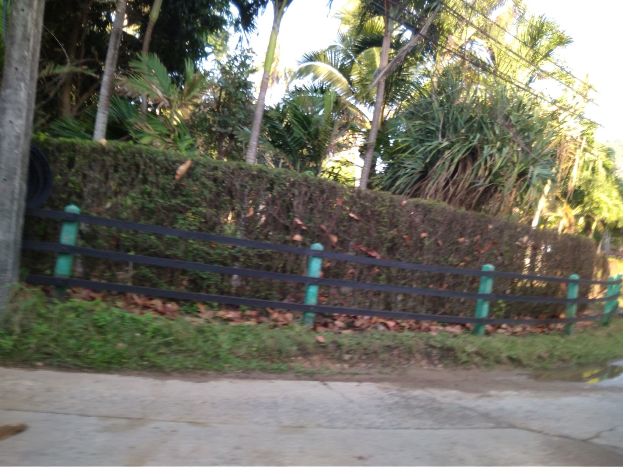 Street view near Niramaya Villa & Wellness, Ban Phru Nai