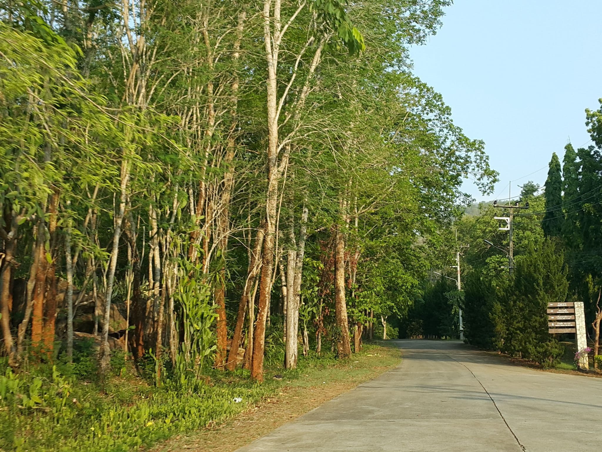 Street view near The Erawan Lake Resort, Bo Phloi — © jrcarlsen (CC BY-SA · Mapillary)