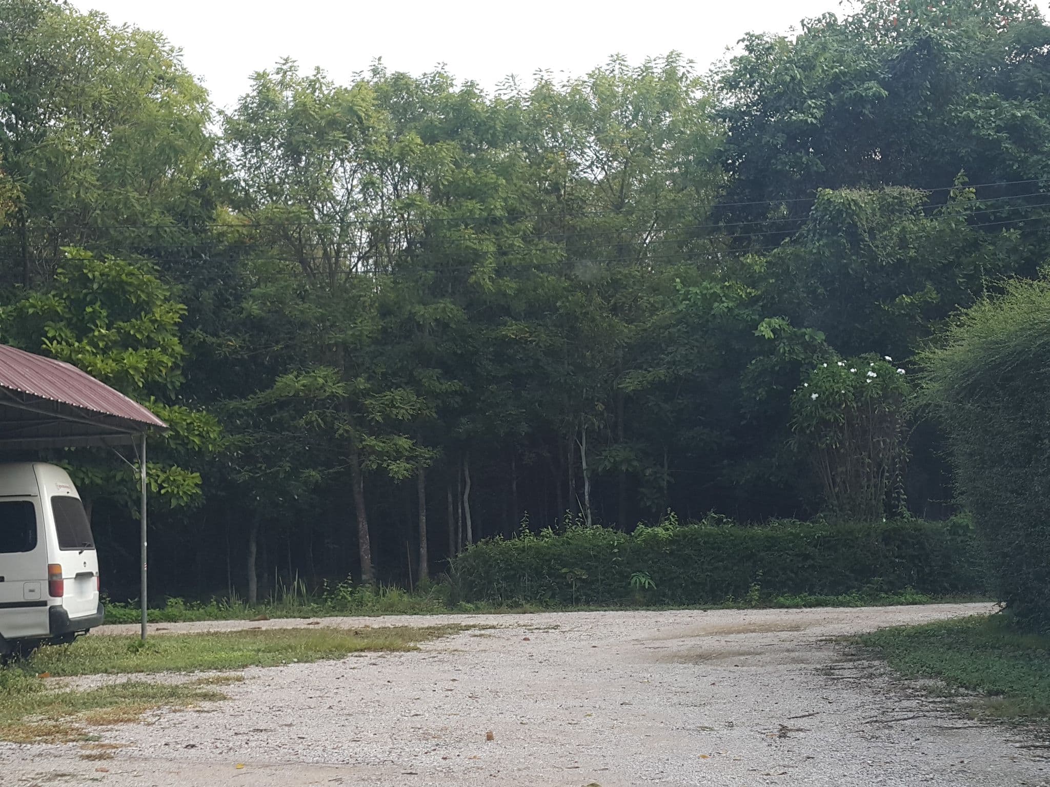 Street view near Cabbages & Condoms, Lampang — © jrcarlsen (CC BY-SA · Mapillary)