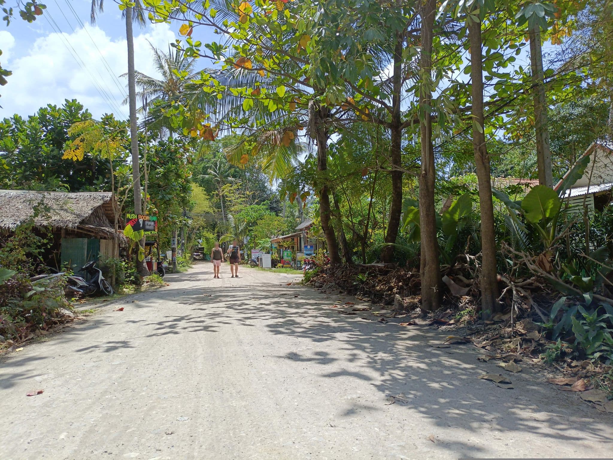 Street view near Funky Fish Hostel, Saladan