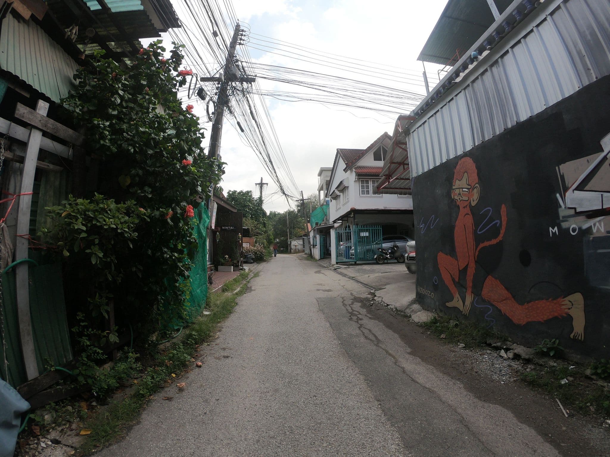 Street view near Green House, Chiang Mai