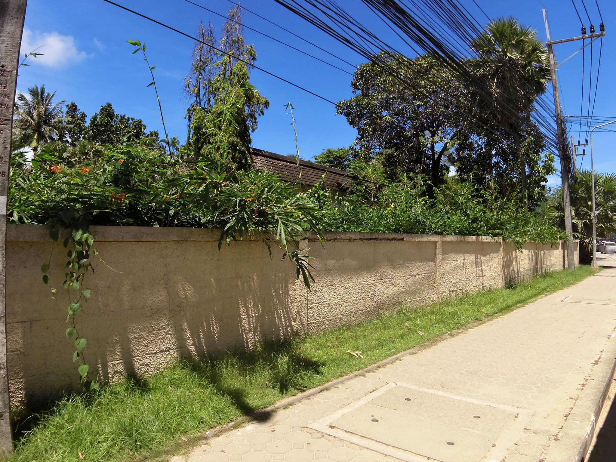 Street view near Romantica Resort, Ban Kata