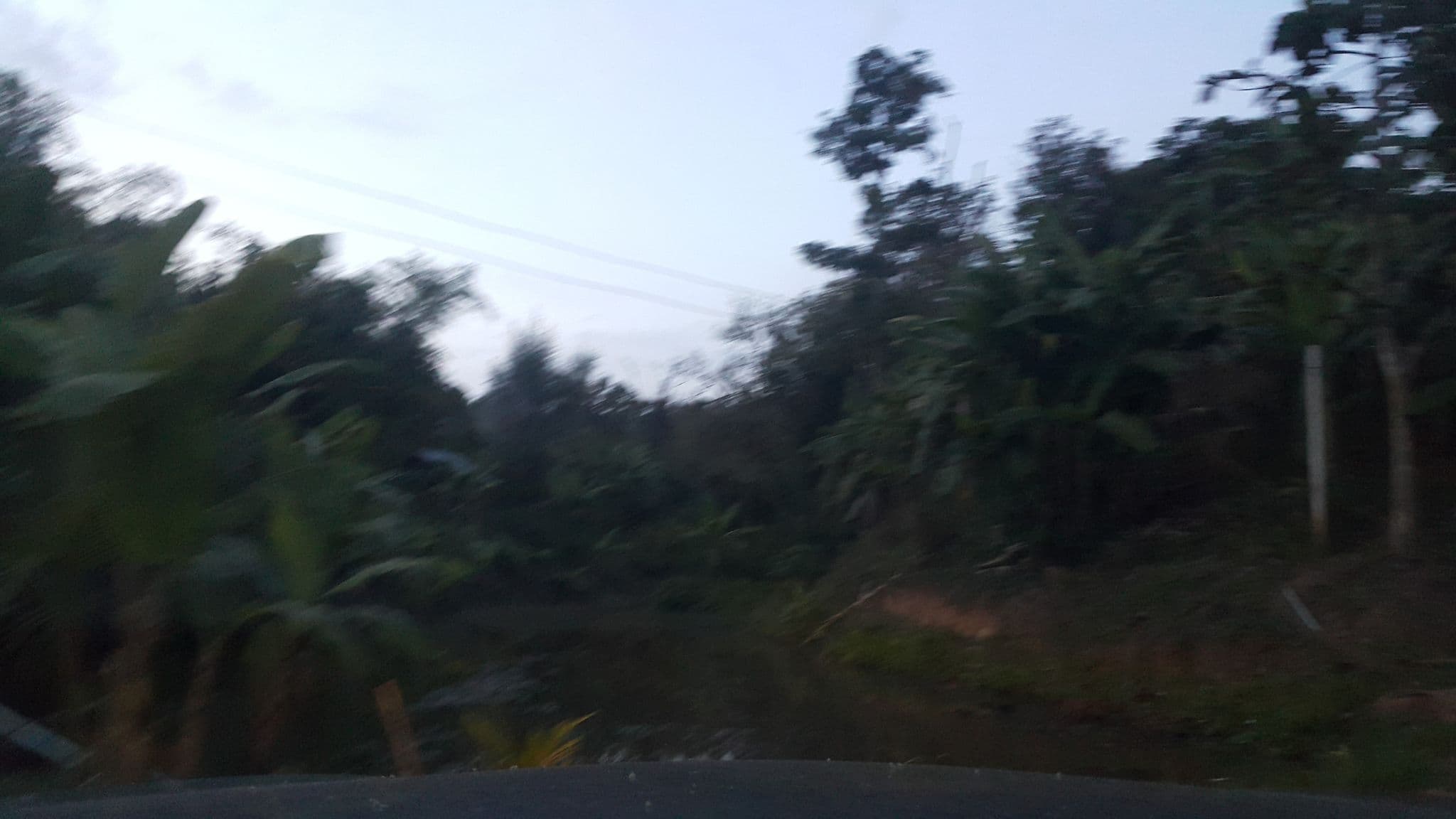 Street view near Mindful Farm, Chiang Mai
