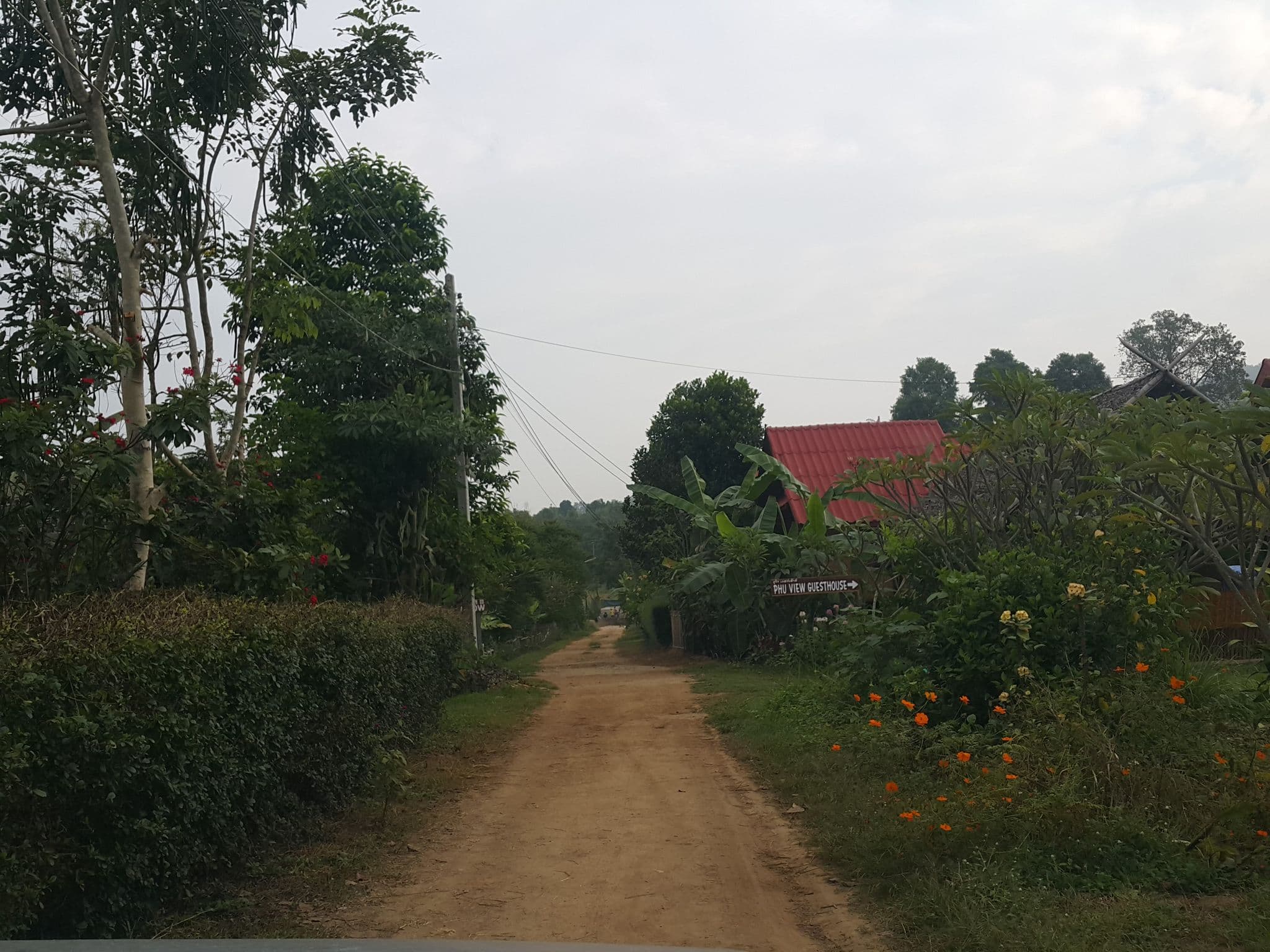 Street view near The nest house, Pai