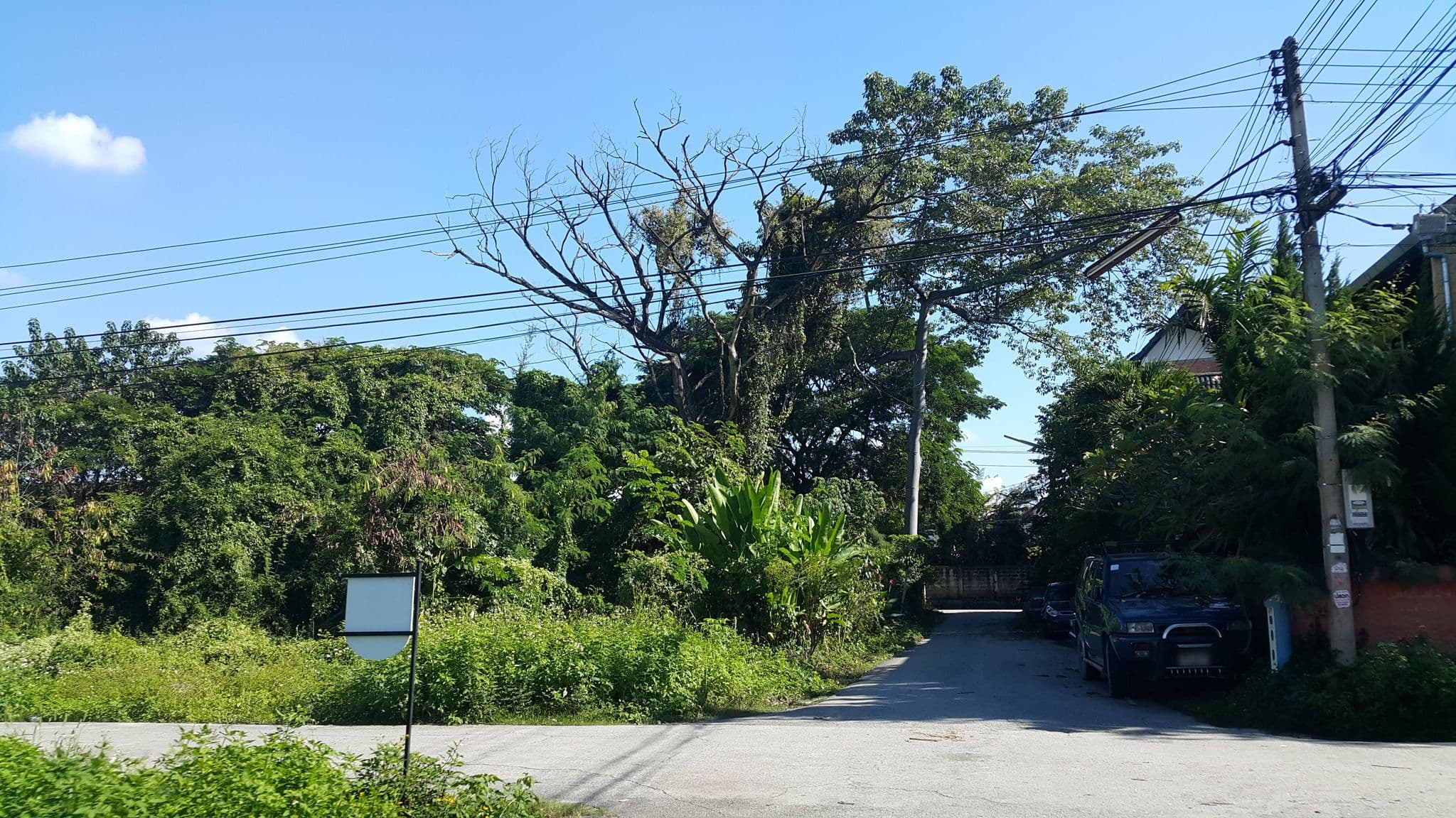 Street view near Chang Mai Youth Hostel International, Chiang Mai