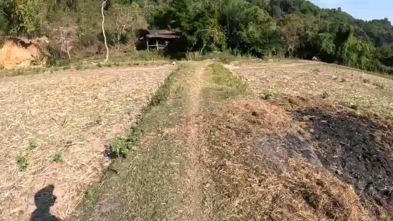 Street view near Elephant Peace Project, Chiang Rai
