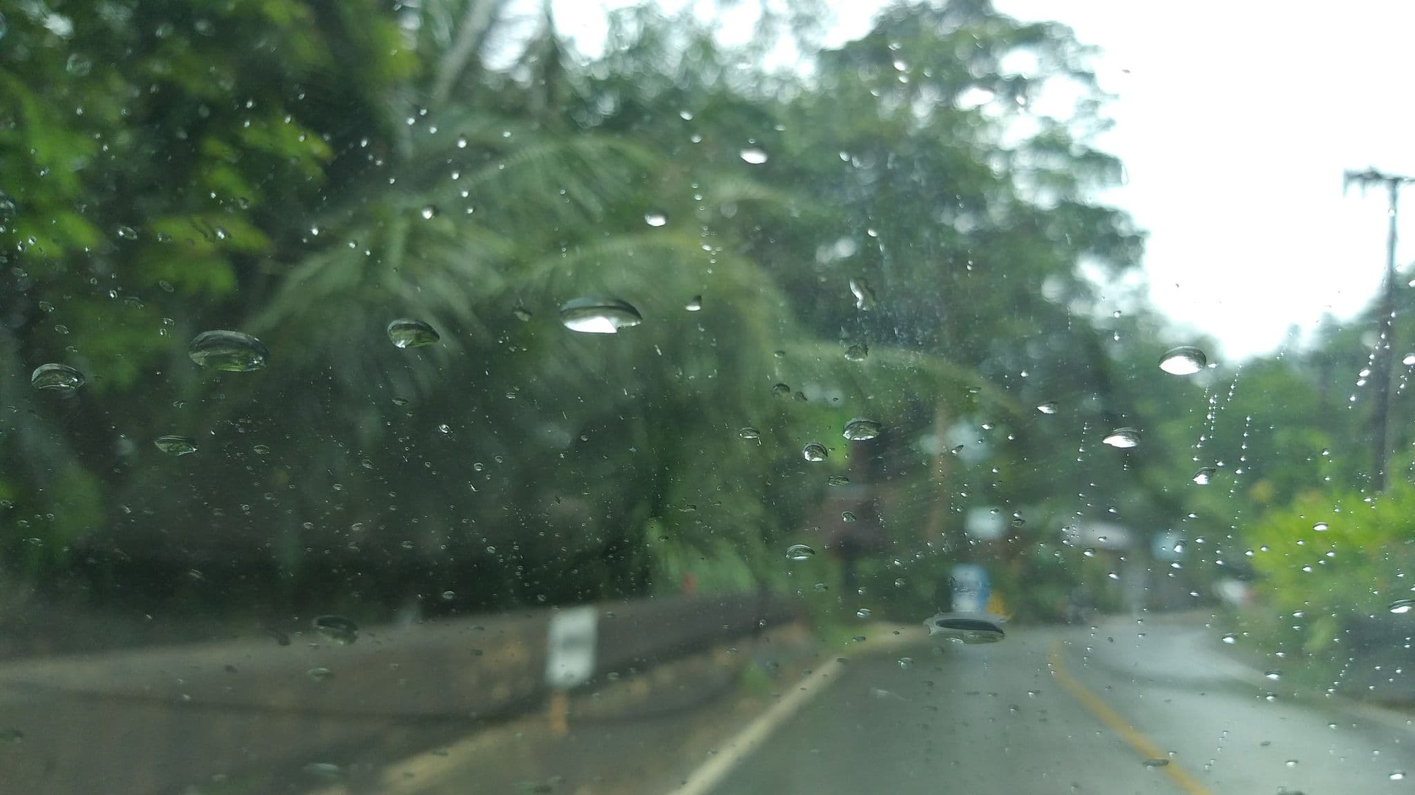 Street view near 3 trees, Ko Chang