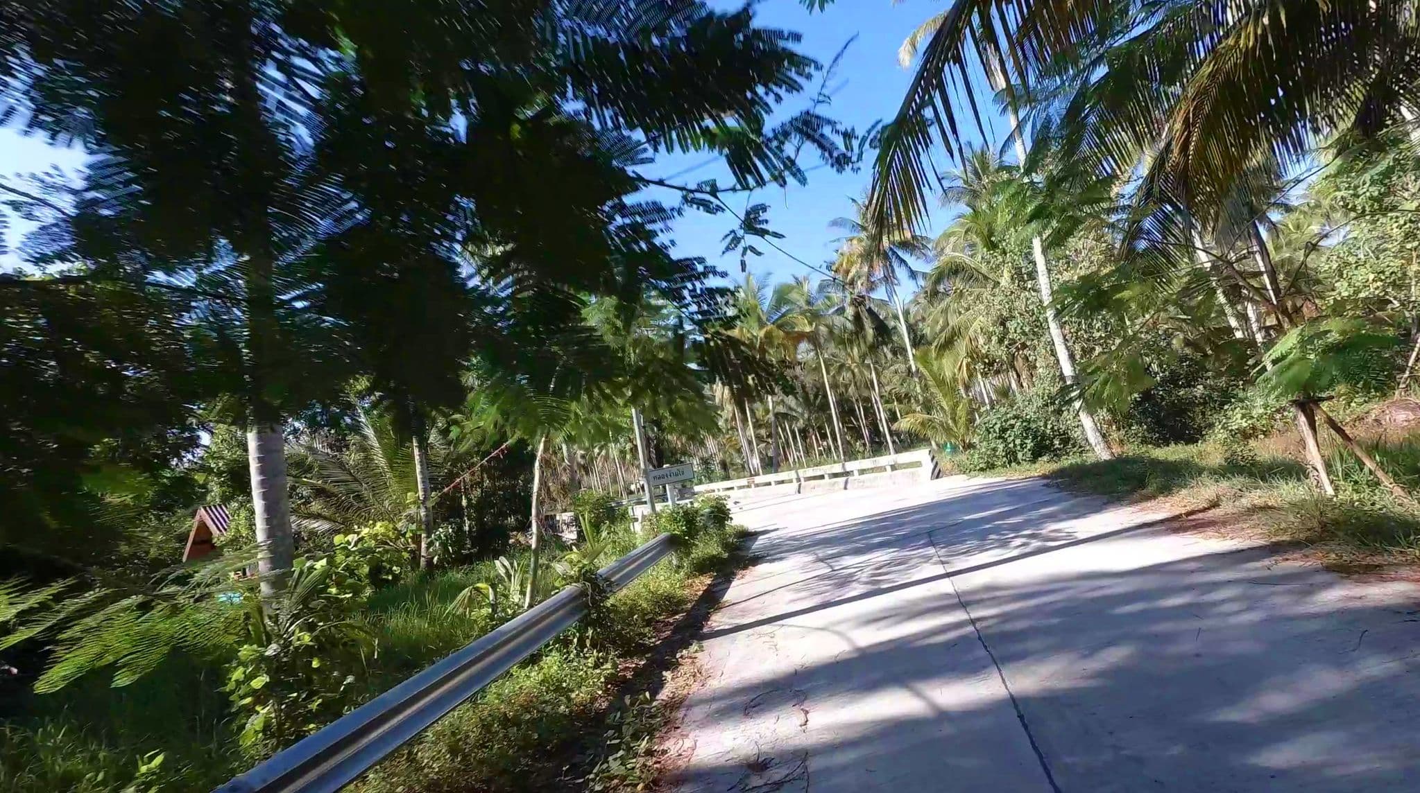 Street view near Pink Kangaroo, Ko Kood
