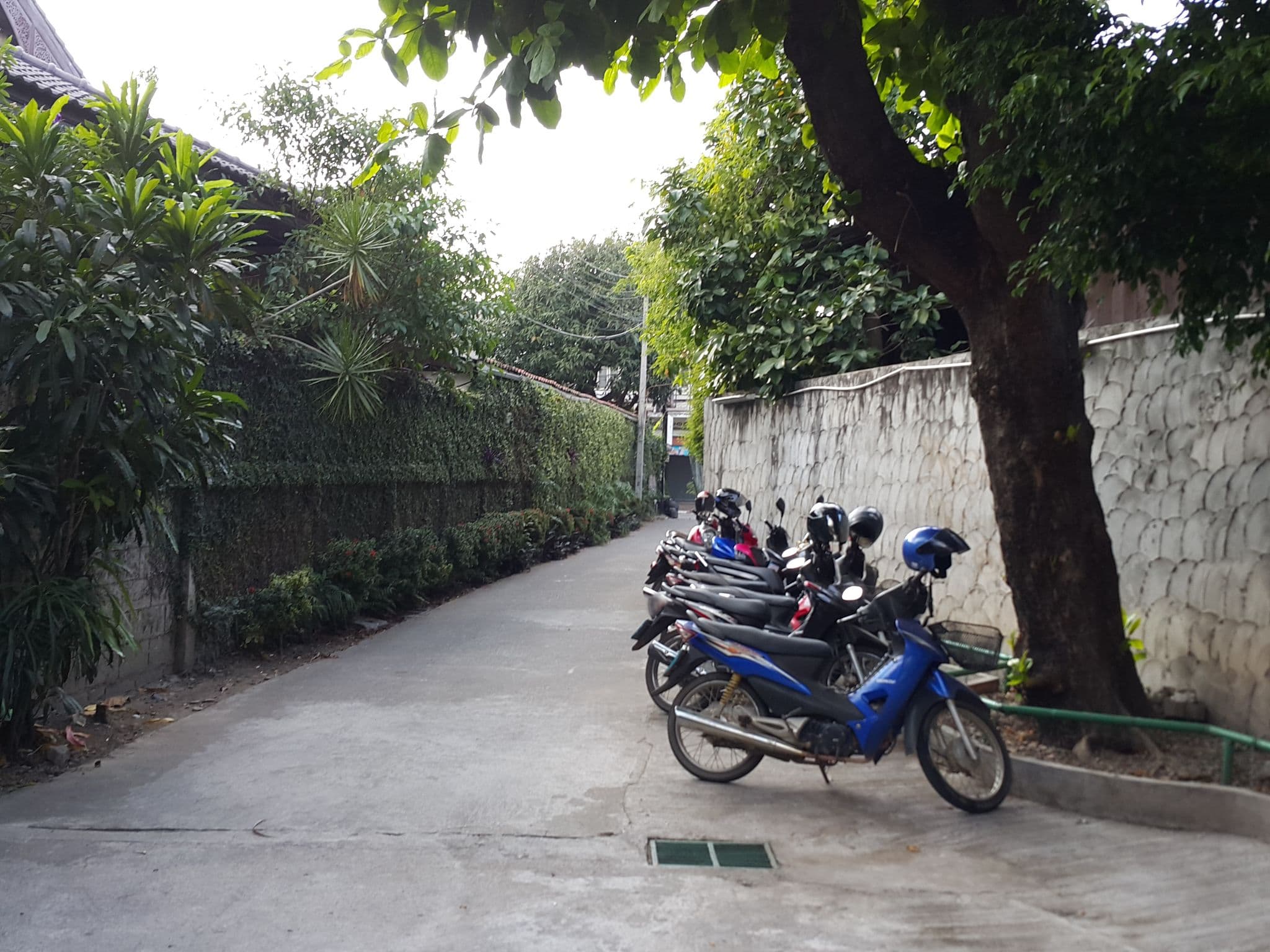 Street view near Wealth Boutique Hotel, Chiang Mai — © jrcarlsen (CC BY-SA · Mapillary)