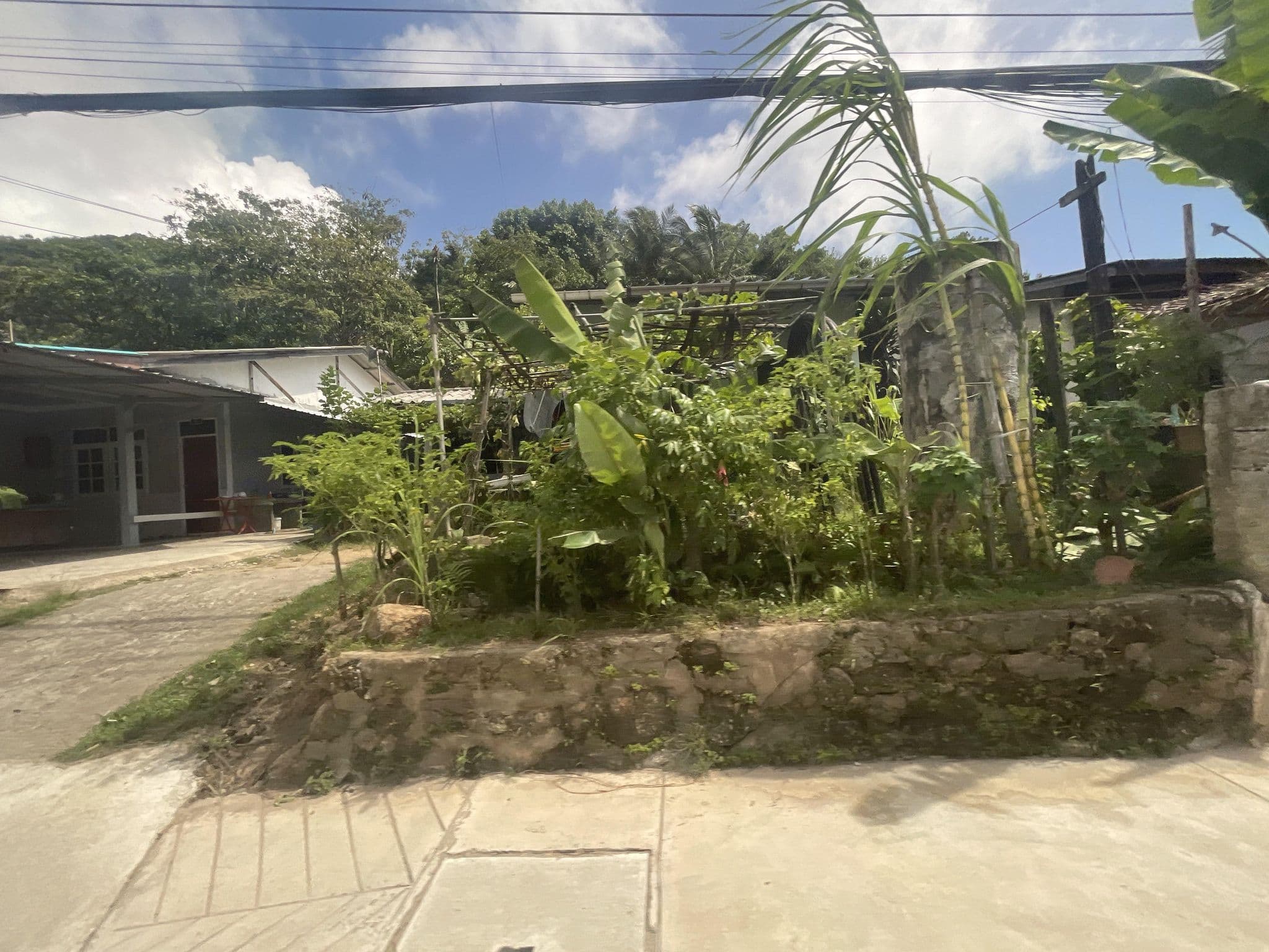 Street view near Blue Palm Residence Kata, Ban Kata