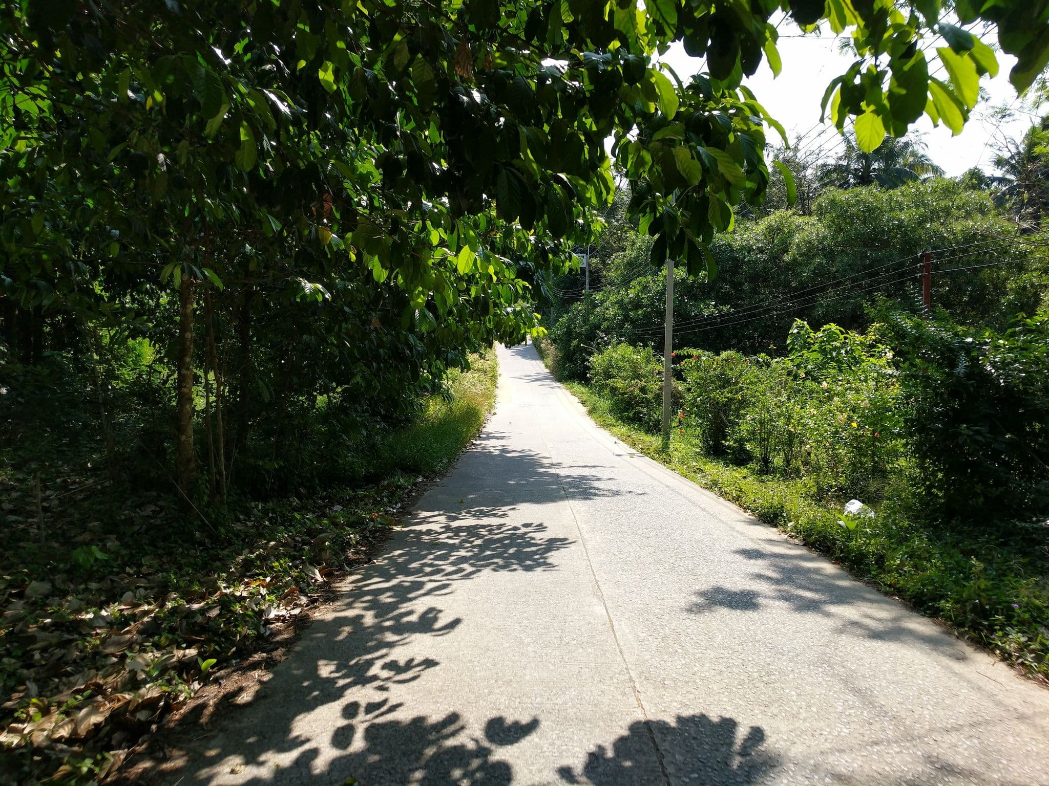 Street view near Sea Bear, Ranong