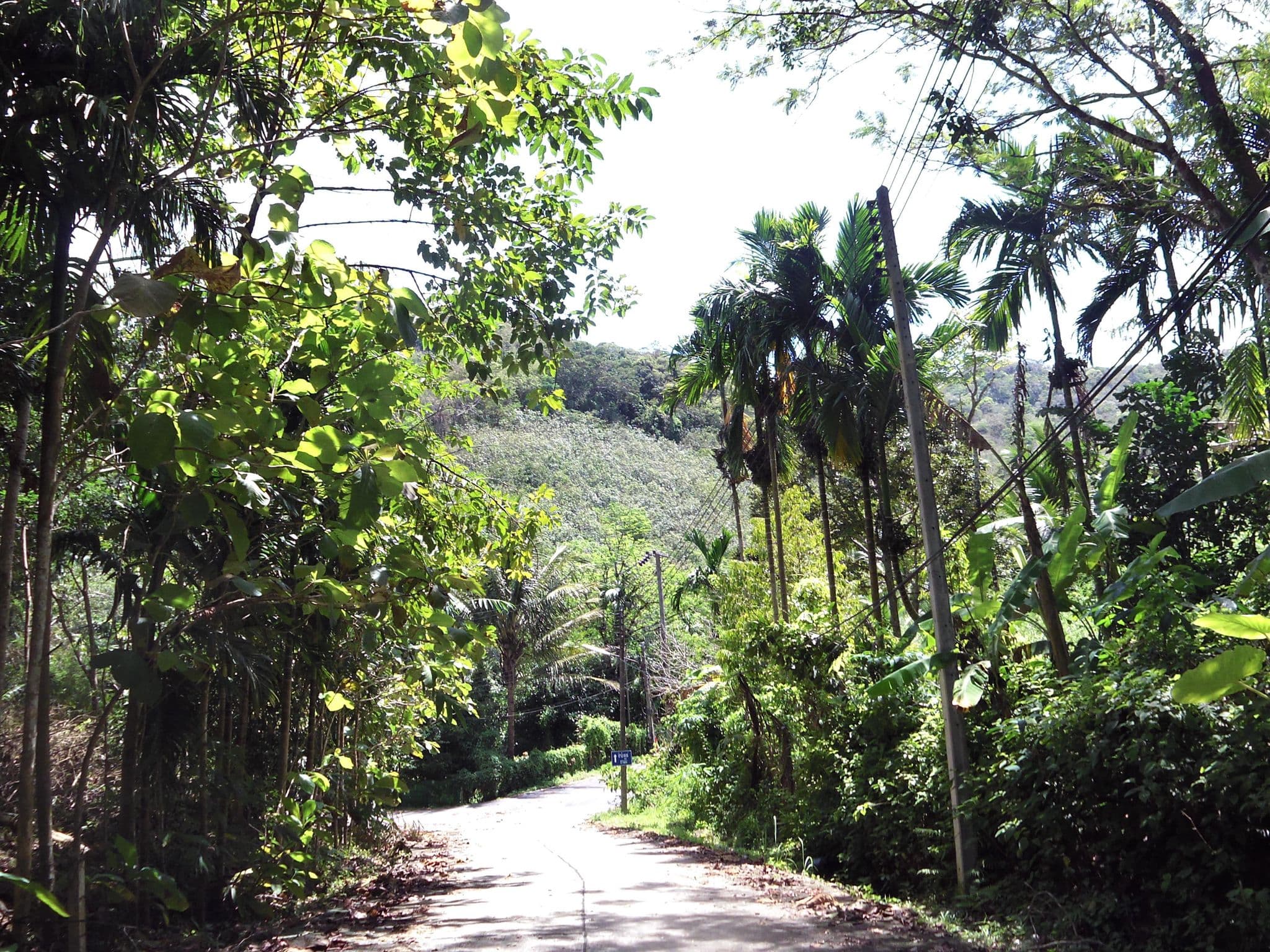 Street view near Green House, Ban Karon — © skillsy (CC BY-SA · Mapillary)