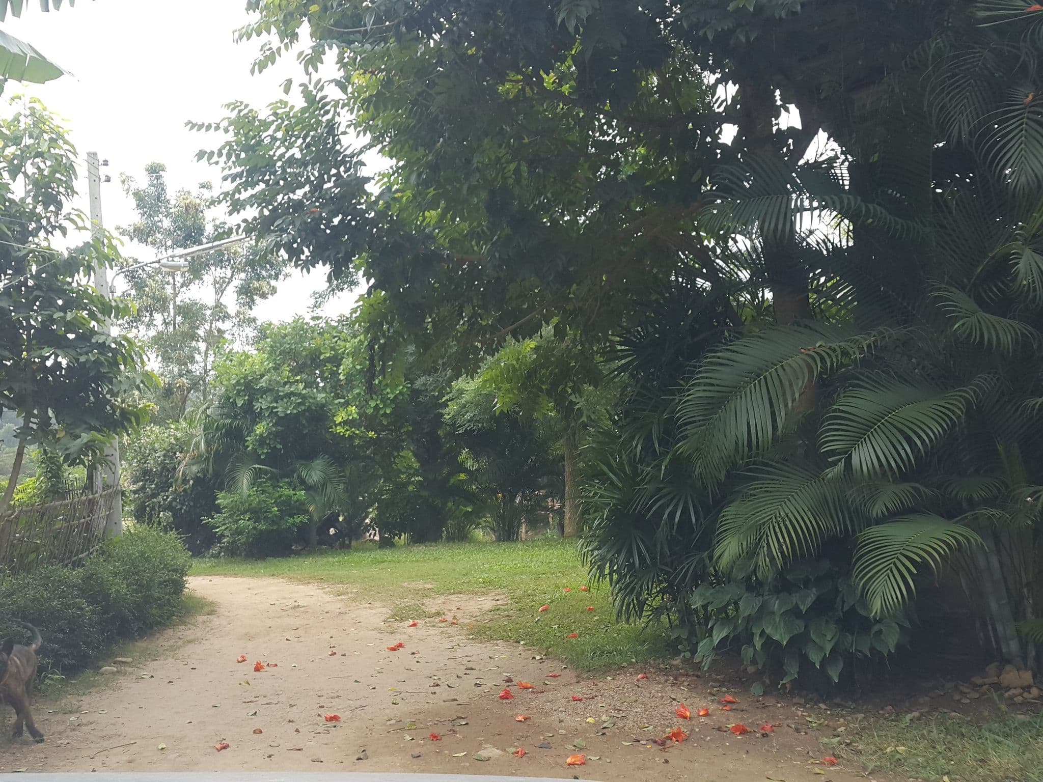 Street view near Family Huts, Pai