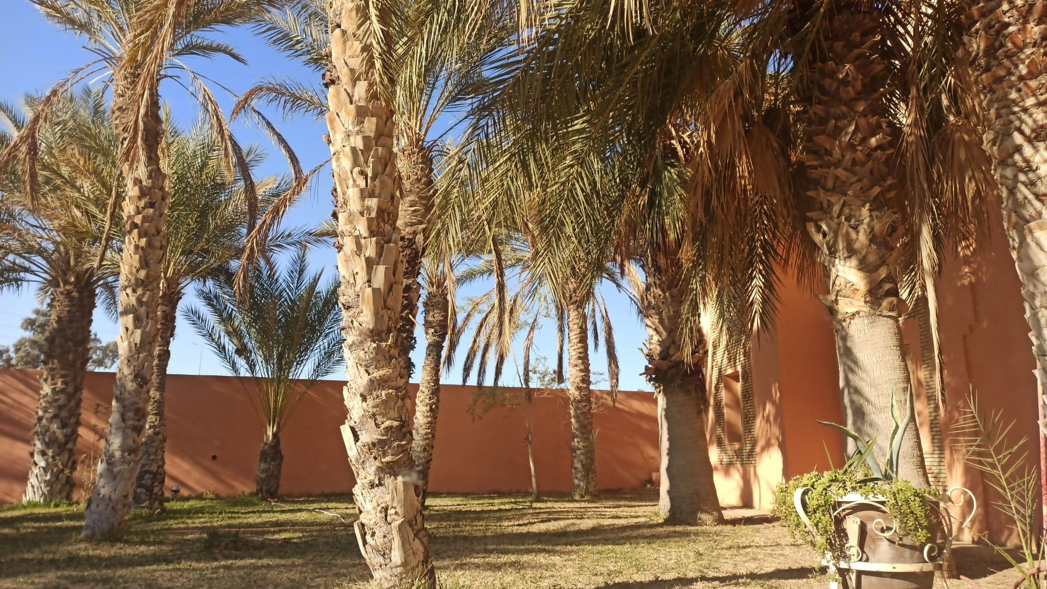 Street view near Hôtel Ksar Jerid, Tozeur — © ghassen98 (CC BY-SA · Mapillary)