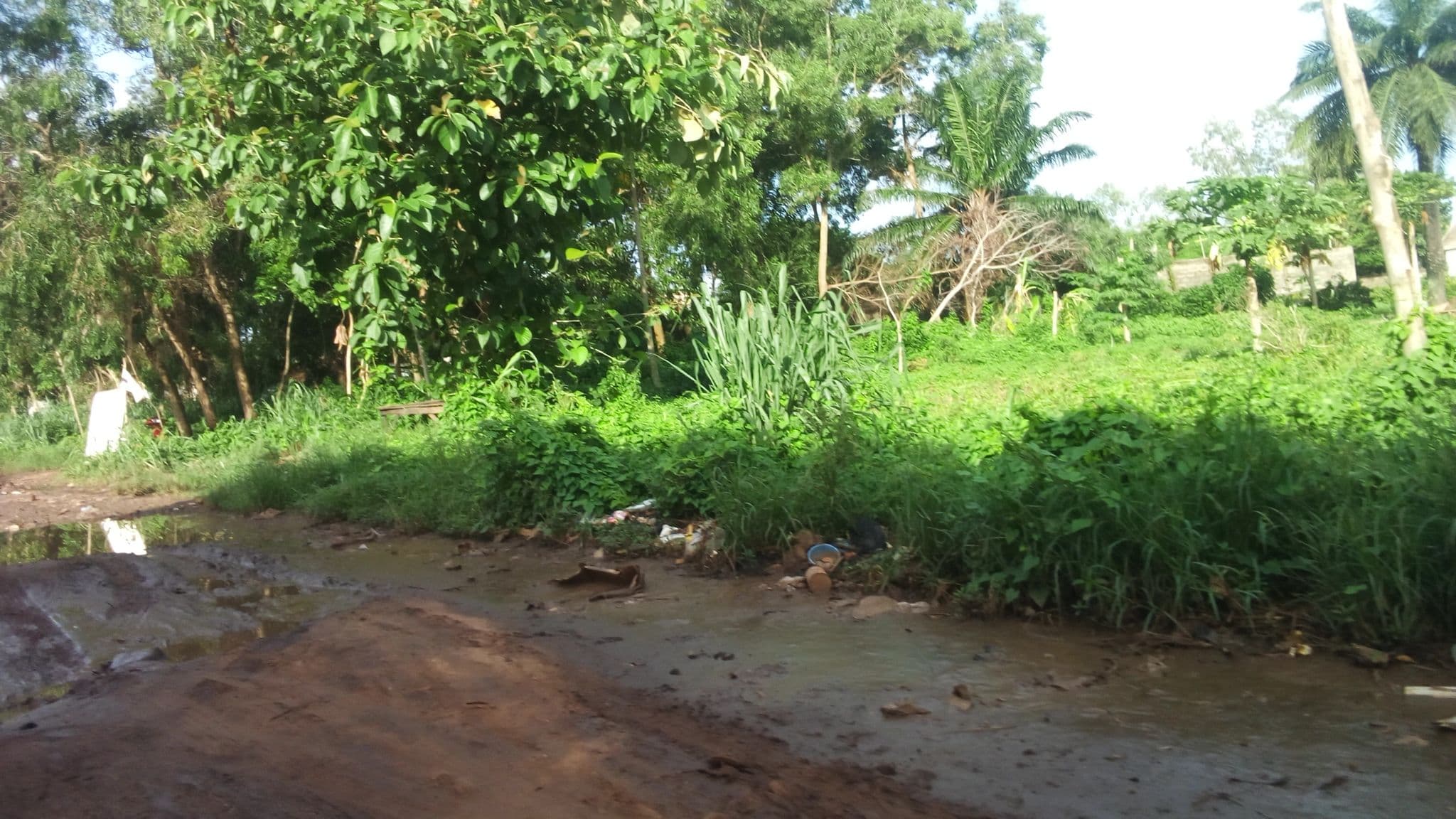 Street view near Big Man Hôtel, Abomey-Calavi — © ademolafrederic (CC BY-SA · Mapillary)