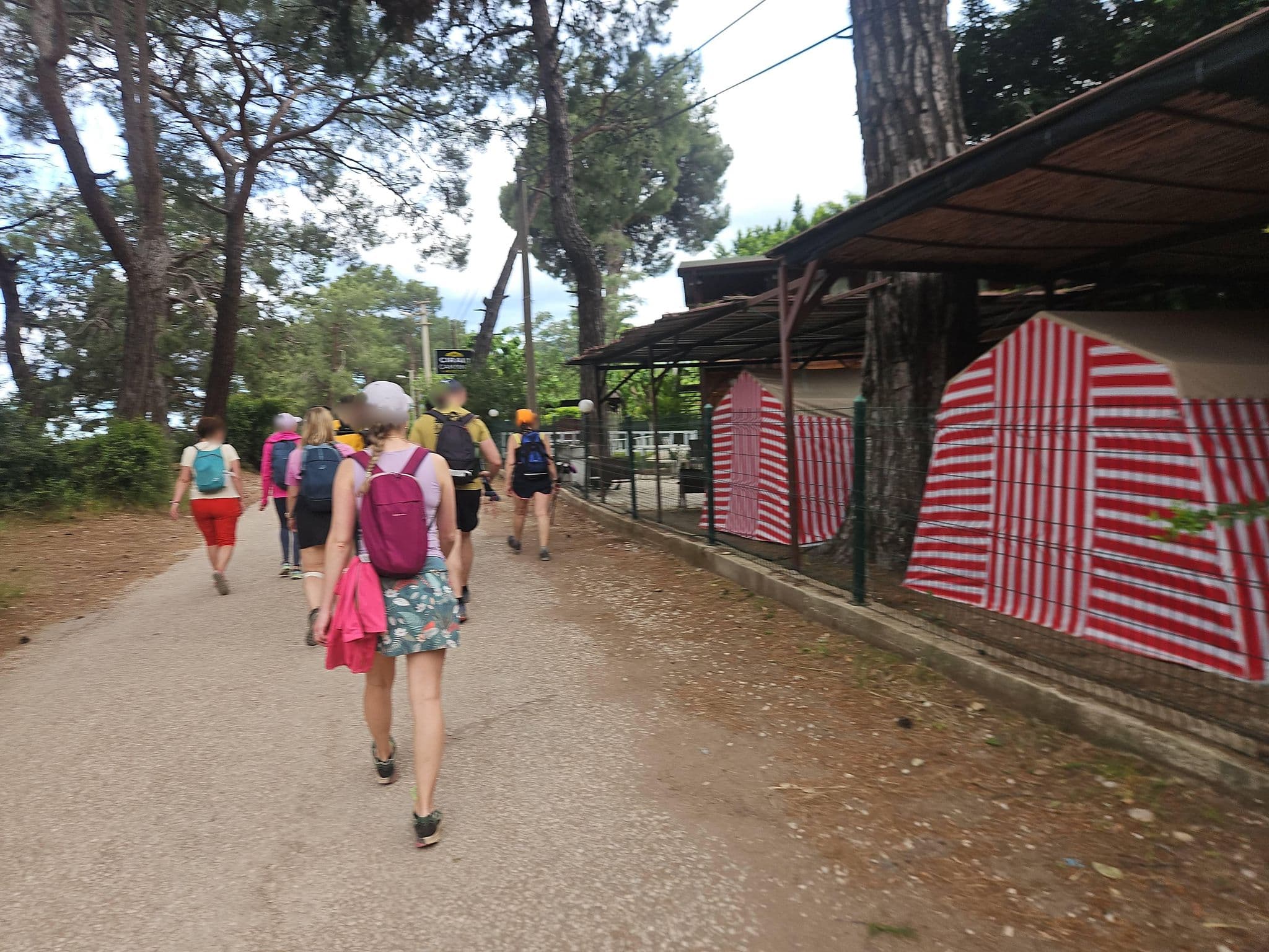 Street view near Çıralı Camping, Ulupınar — © ursus (CC BY-SA · Mapillary)
