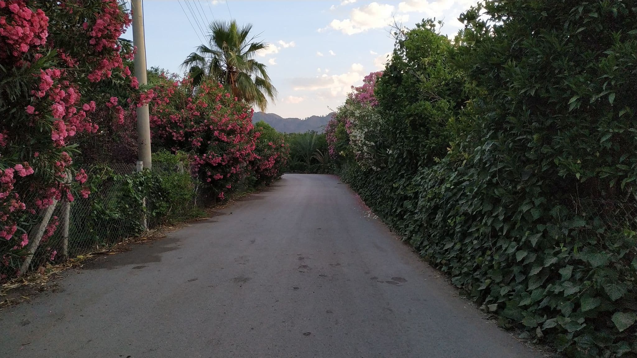 Street view near Mercan, Ulupınar — © limping (CC BY-SA · Mapillary)