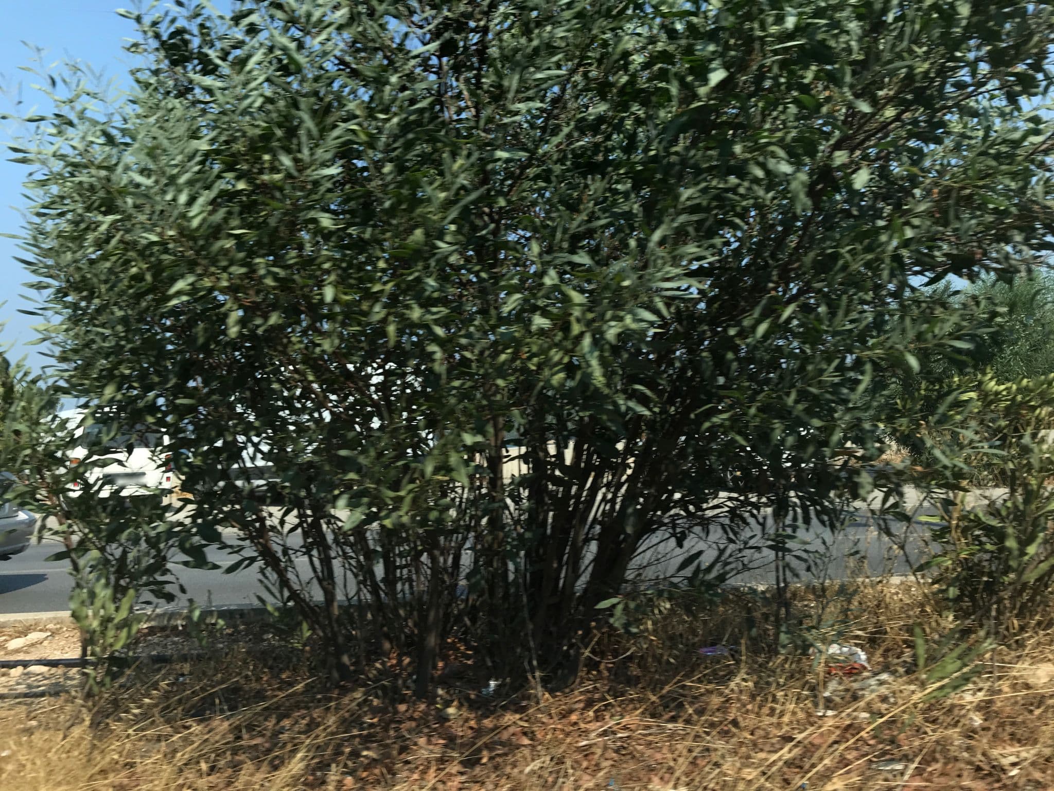 Street view near Safak Camping, Güvercinlik — © hderinoz (CC BY-SA · Mapillary)