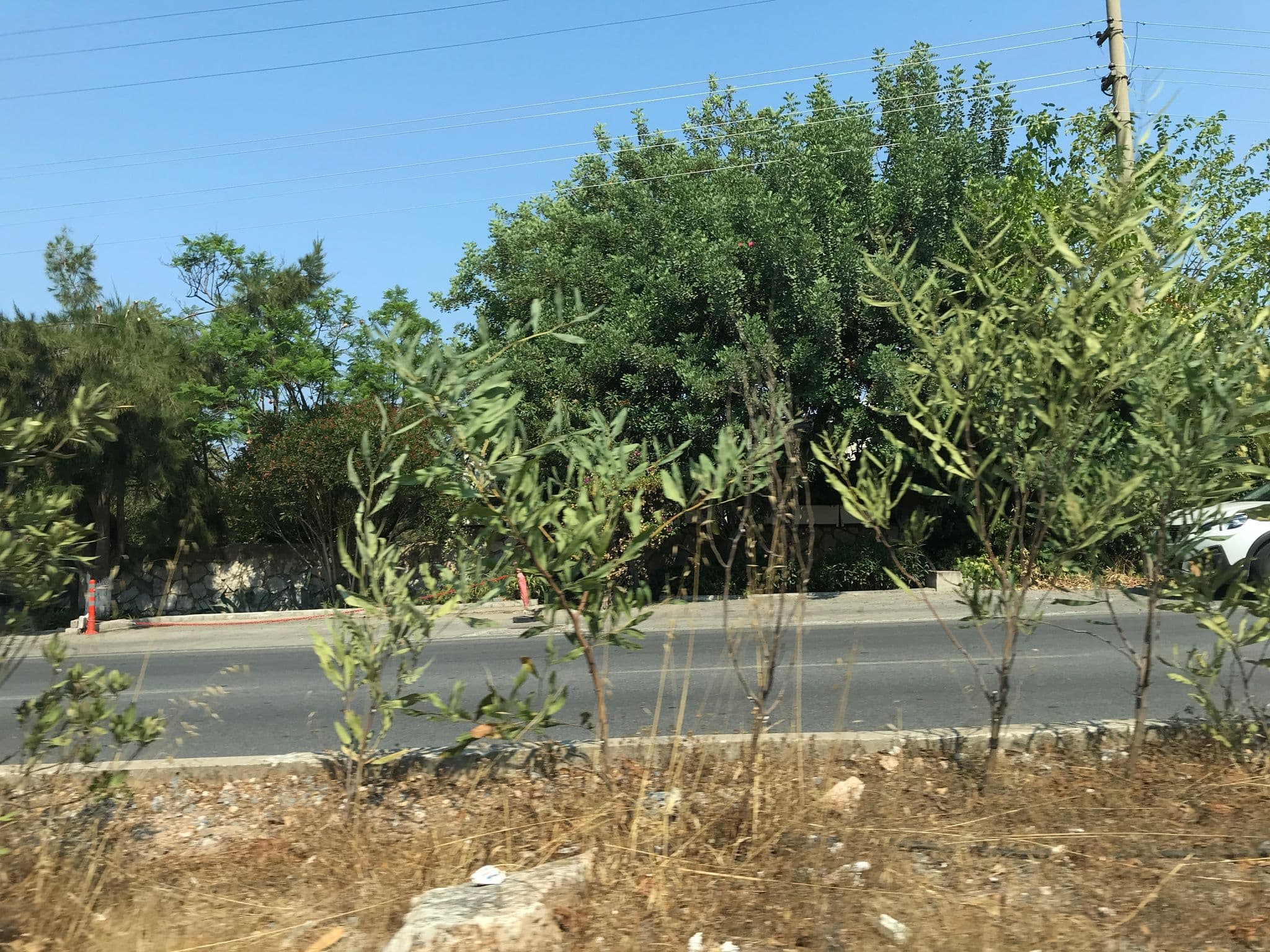 Street view near Hotel Karanfil, Güvercinlik — © hderinoz (CC BY-SA · Mapillary)