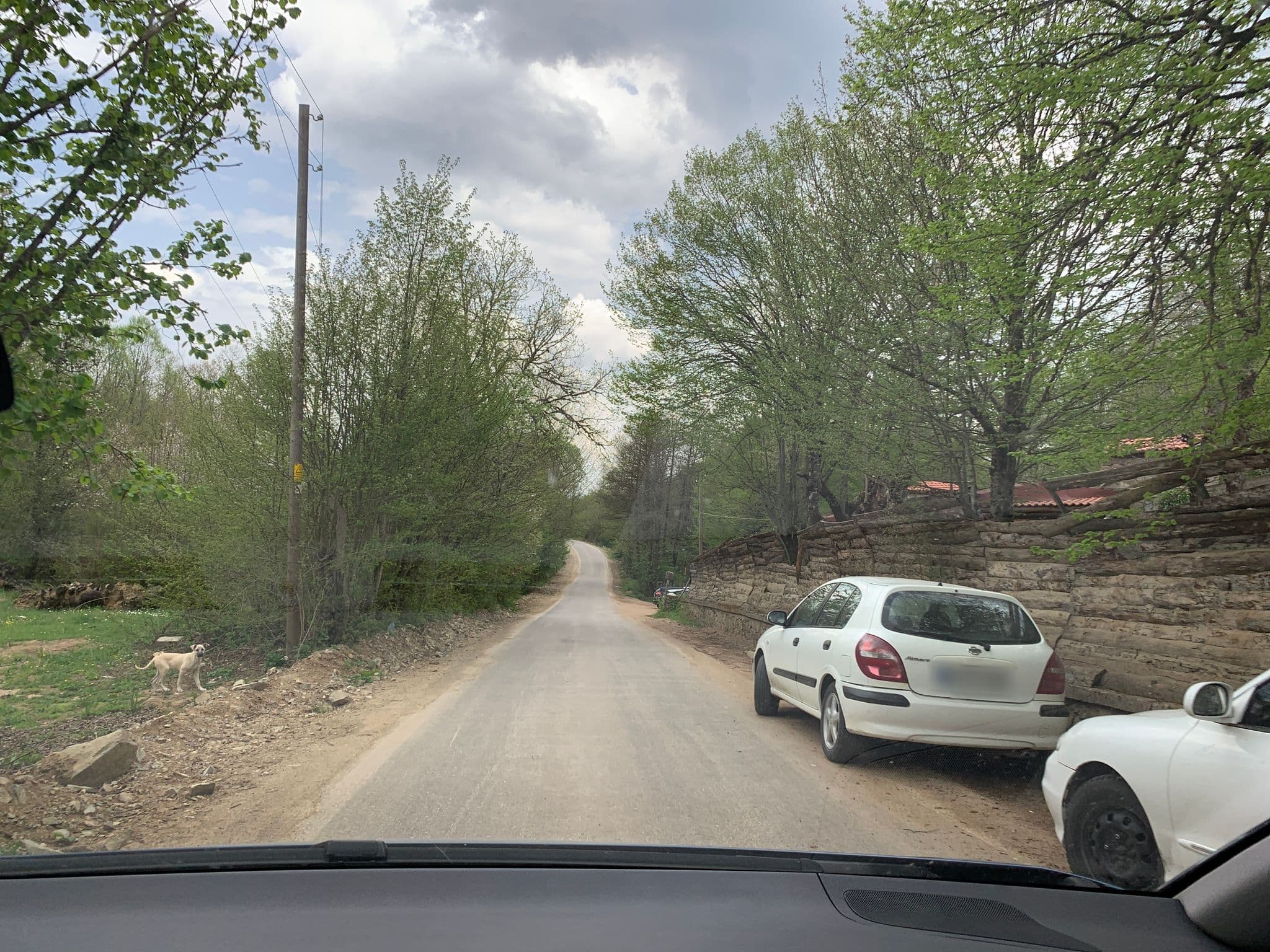 Street view near Hindiba Doğa Evi, Yeniçağa — © empty (CC BY-SA · Mapillary)