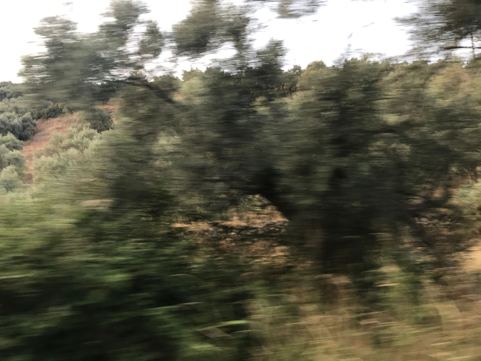 Street view near Varil Camping, Selçuk — © hderinoz (CC BY-SA · Mapillary)