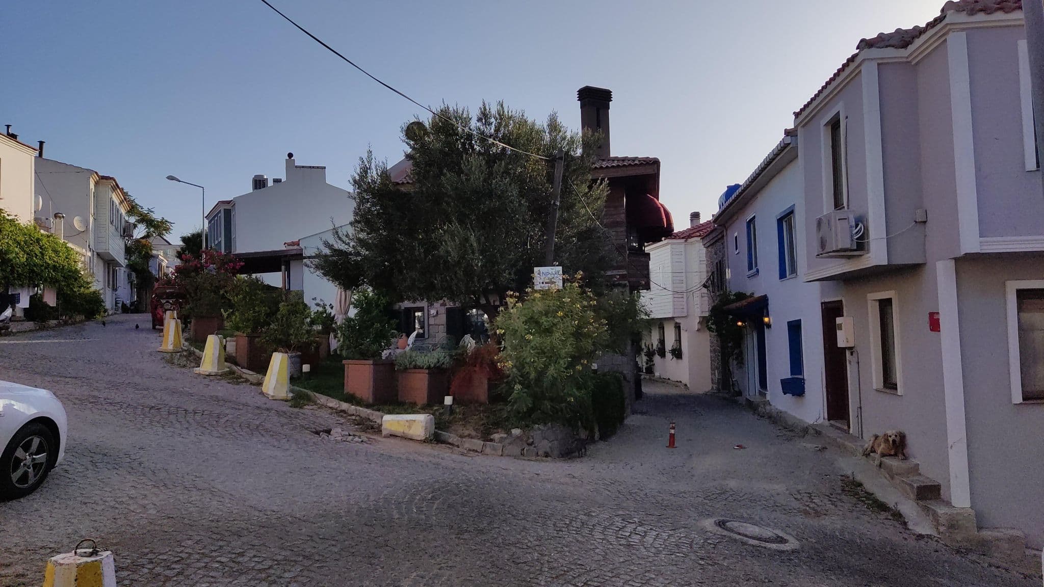 Street view near Sardunya Hotel, Bozcaada — © orkut (CC BY-SA · Mapillary)