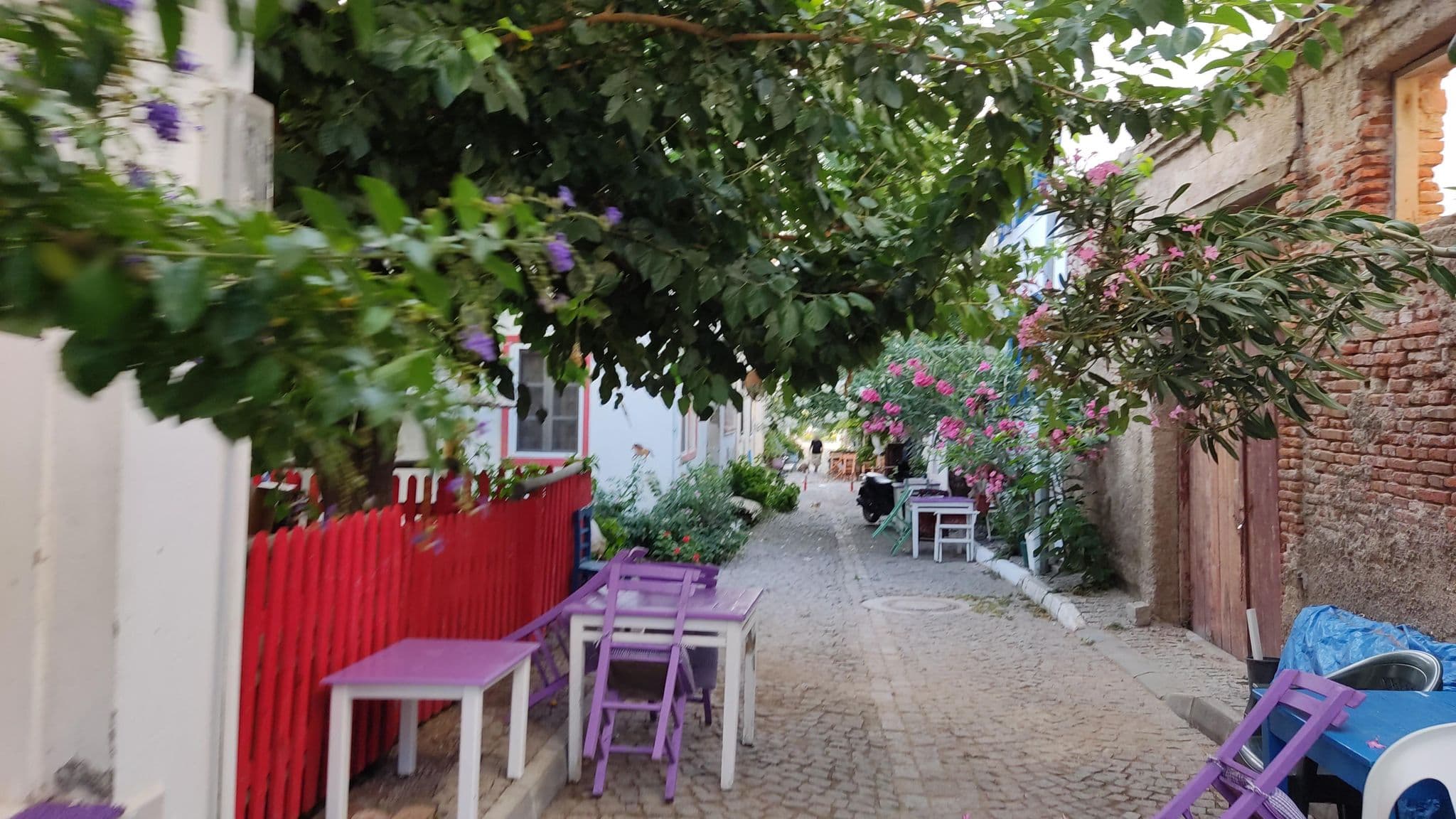 Street view near Evren Pansiyon, Bozcaada — © orkut (CC BY-SA · Mapillary)