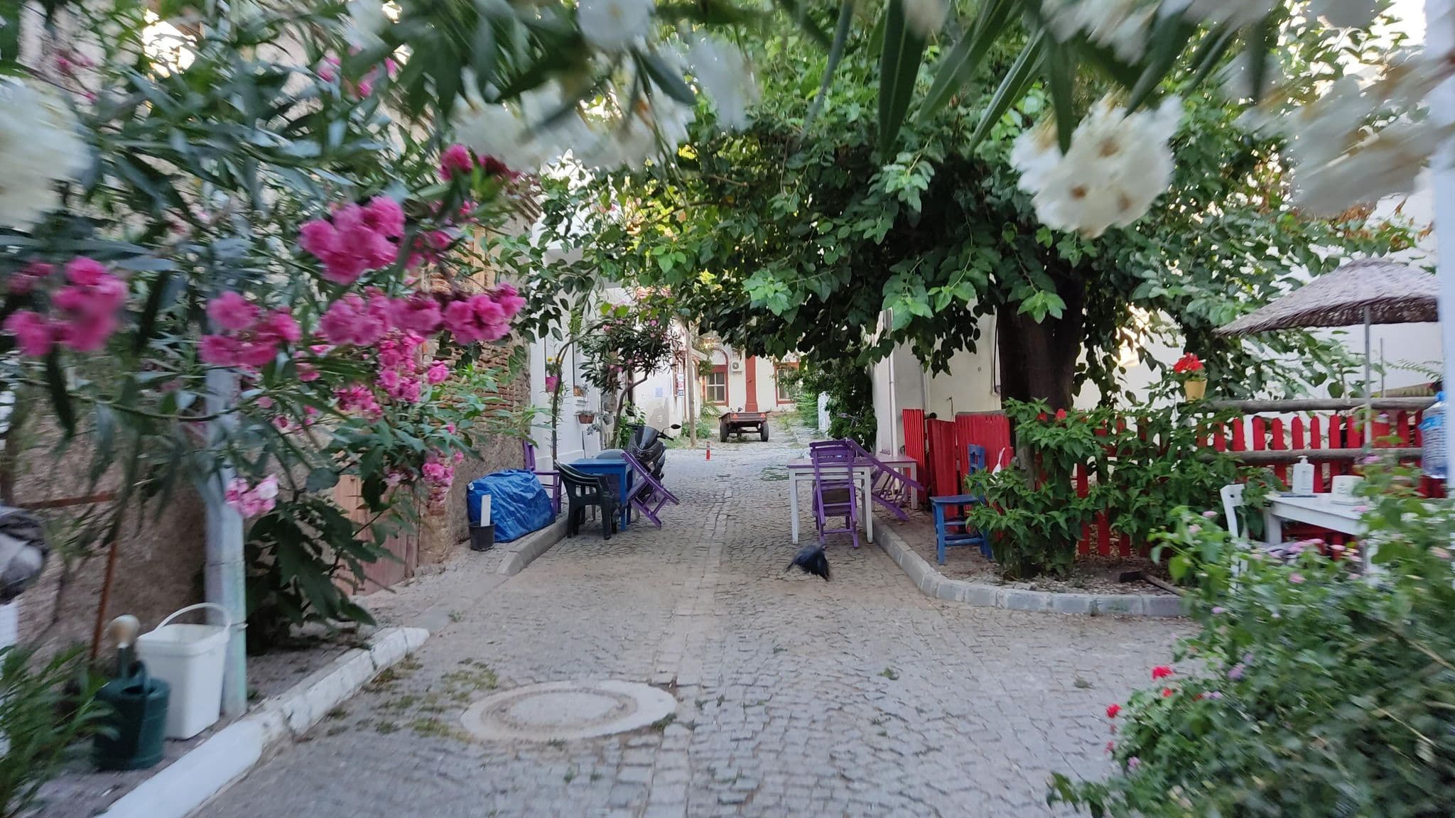 Street view near Adahan Otel, Bozcaada — © orkut (CC BY-SA · Mapillary)