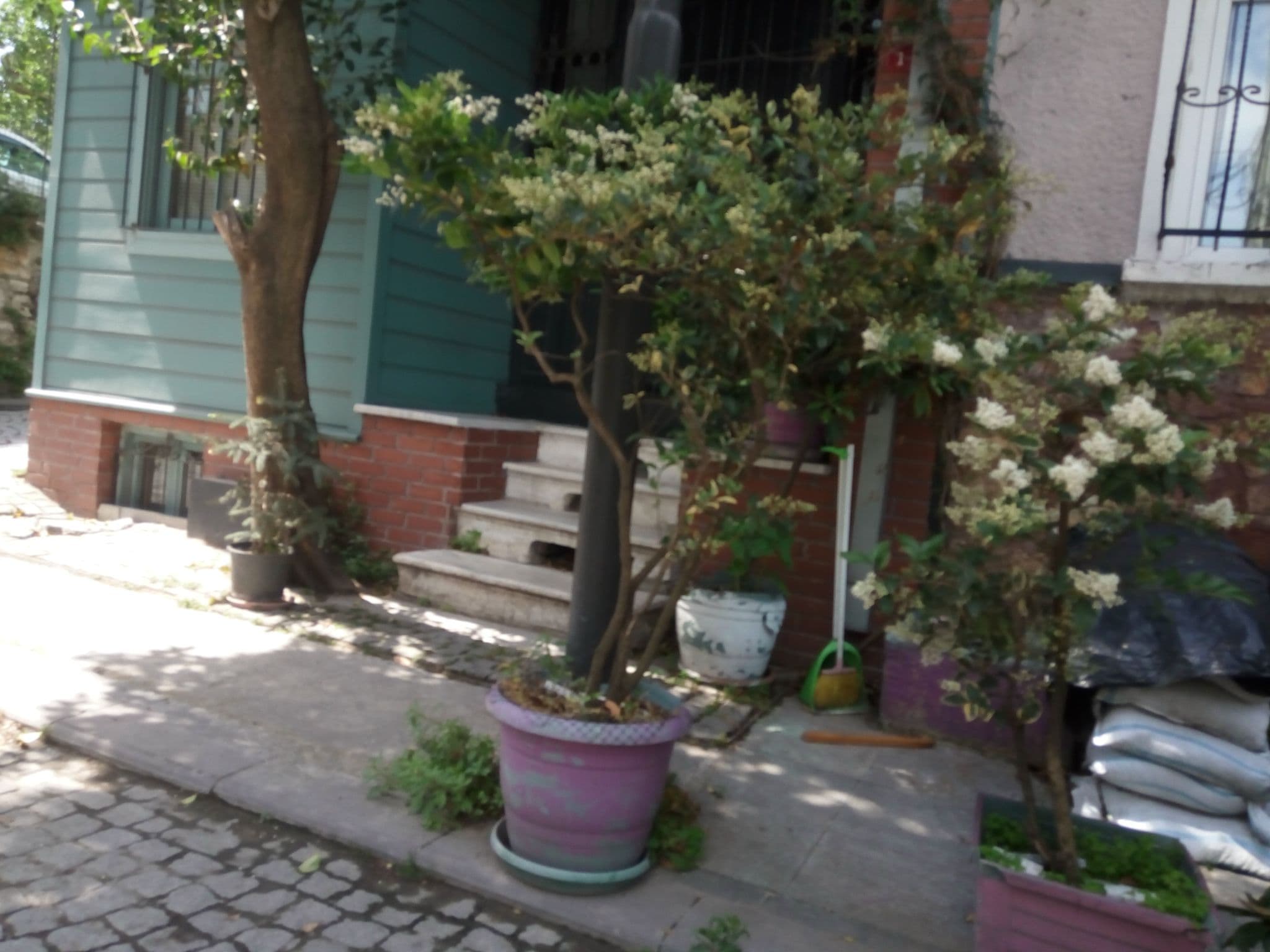 Street view near Modern Sultan, Sultanahmet — © mapfool (CC BY-SA · Mapillary)