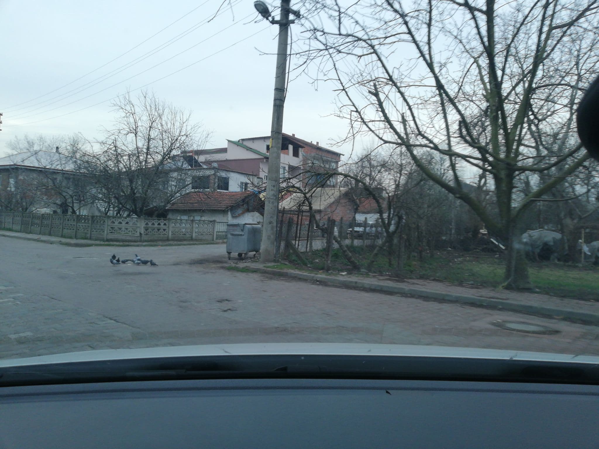 Street view near Paradise Hotel, Çaycuma — © sefaonur (CC BY-SA · Mapillary)