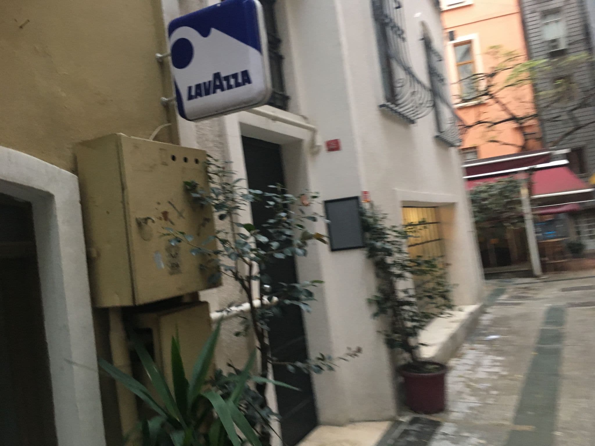Street view near tulip, Eminönü