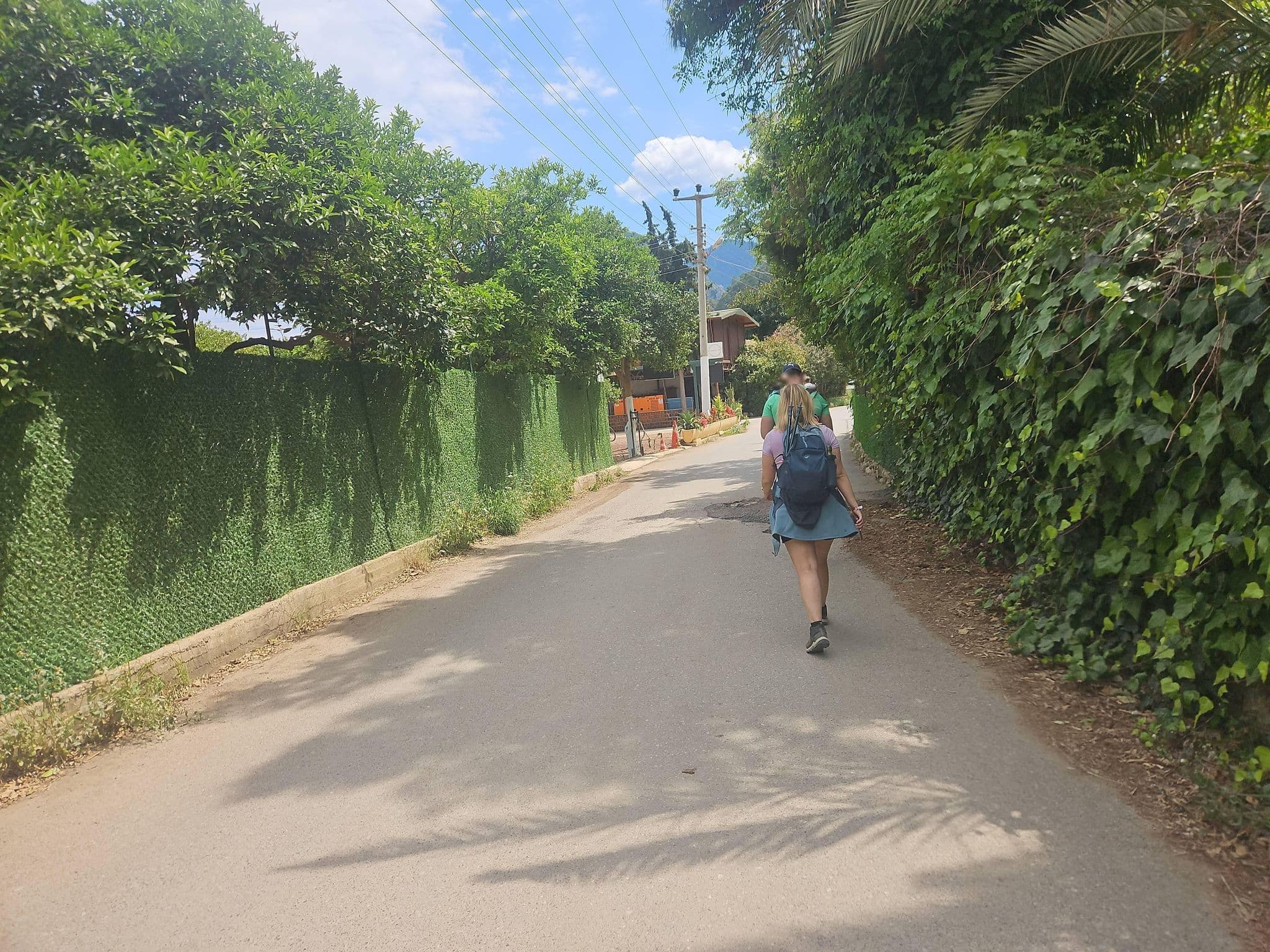 Street view near Selin Pansiyon, Ulupınar — © ursus (CC BY-SA · Mapillary)