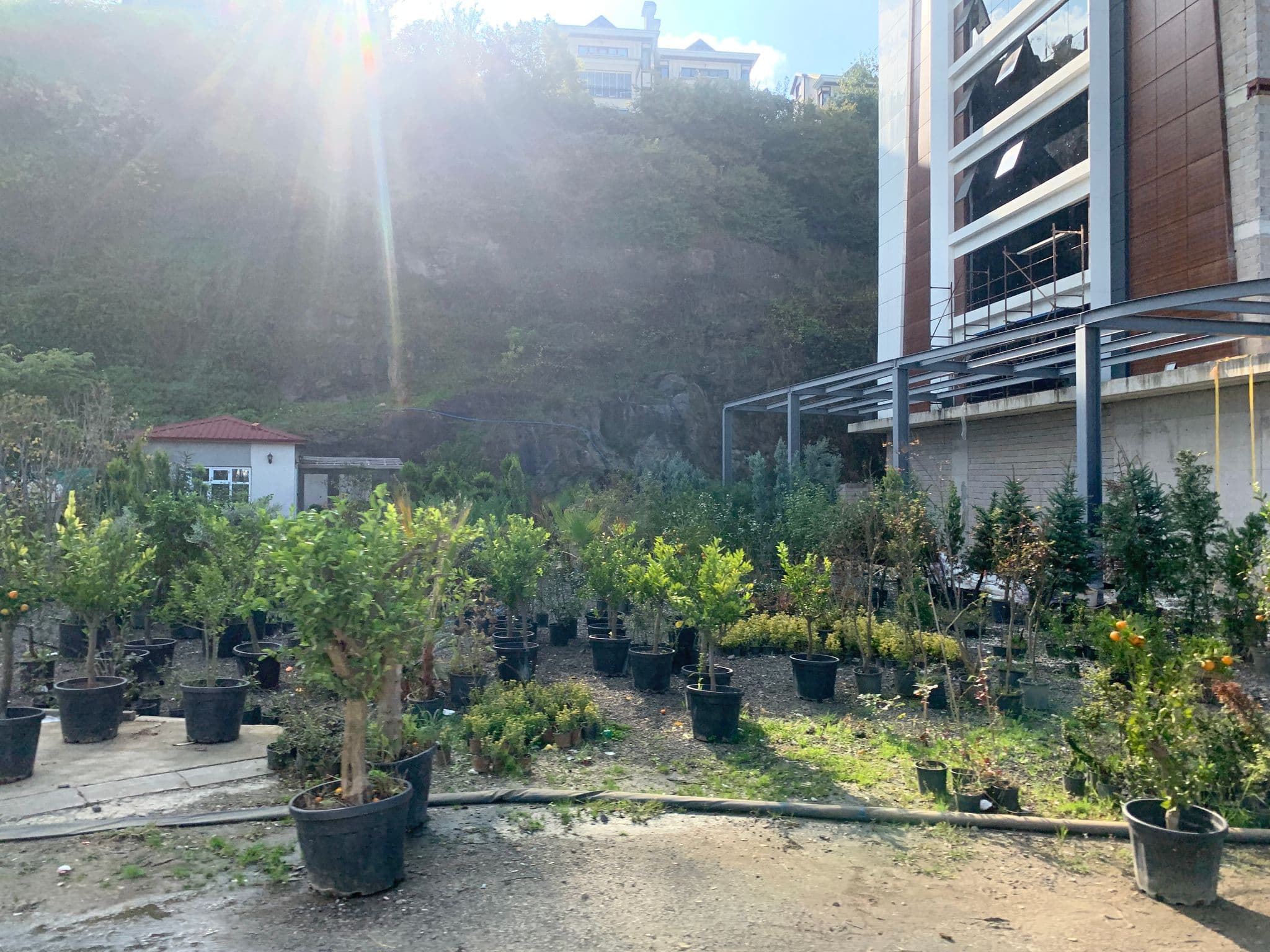 Street view near Mercure Trabzon Hotel, Yomra — © robot8a (CC BY-SA · Mapillary)