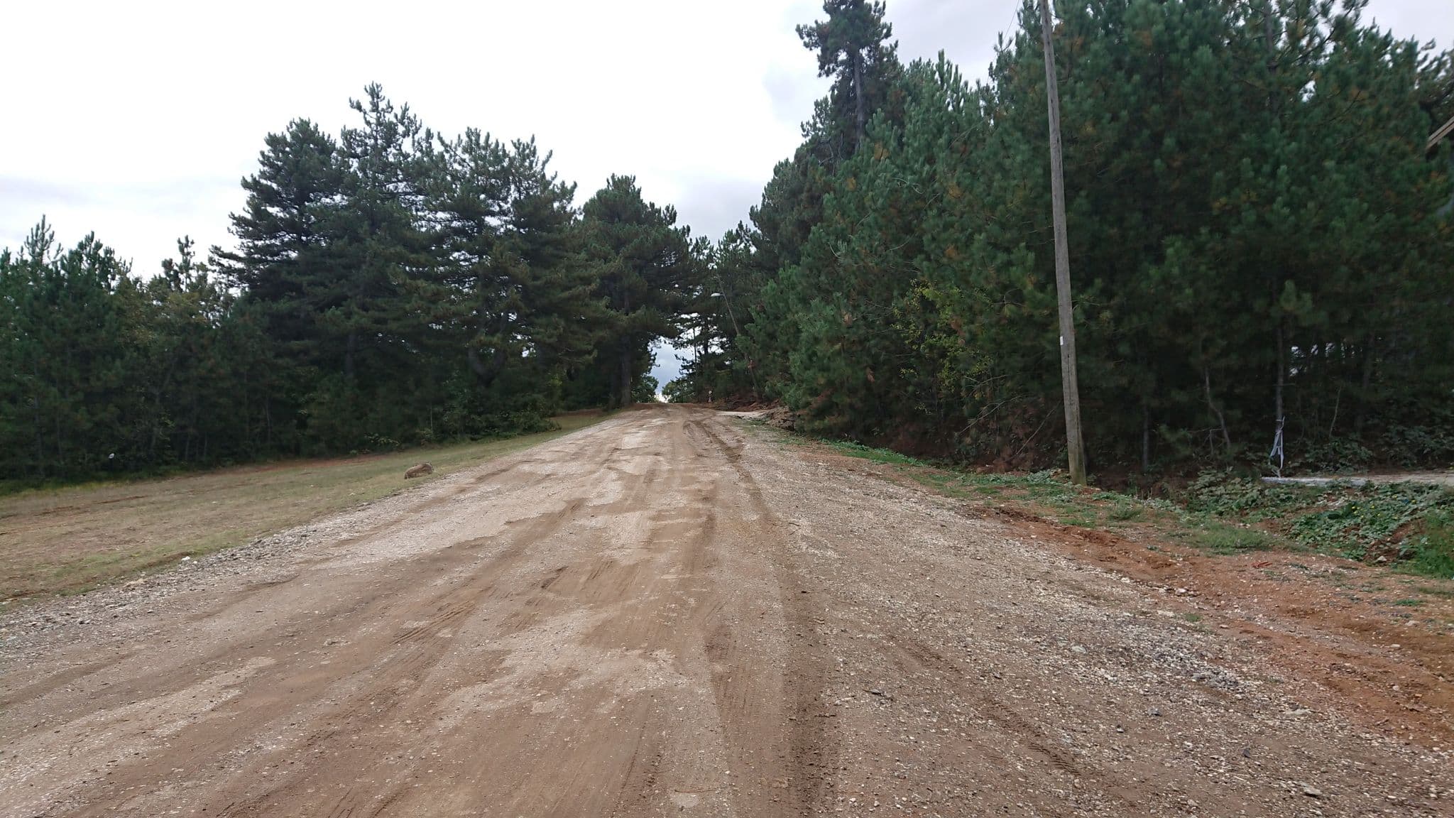 Street view near Karavan Park Alani, Pazaryeri — © kubikanber (CC BY-SA · Mapillary)