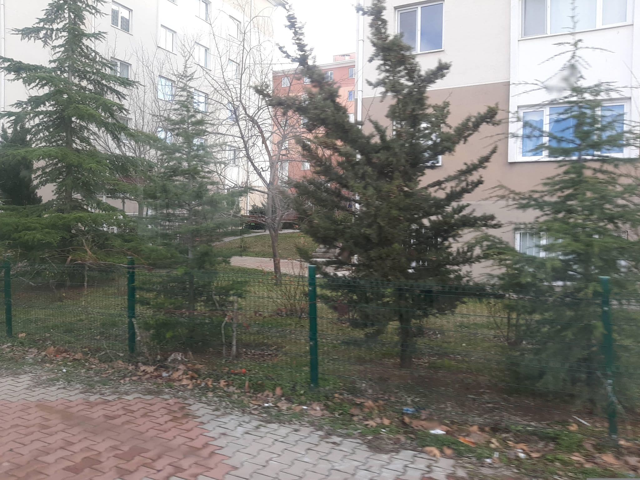 Street view near C-63, Gölbaşı — © BeronTheColossus (CC BY-SA · Mapillary)