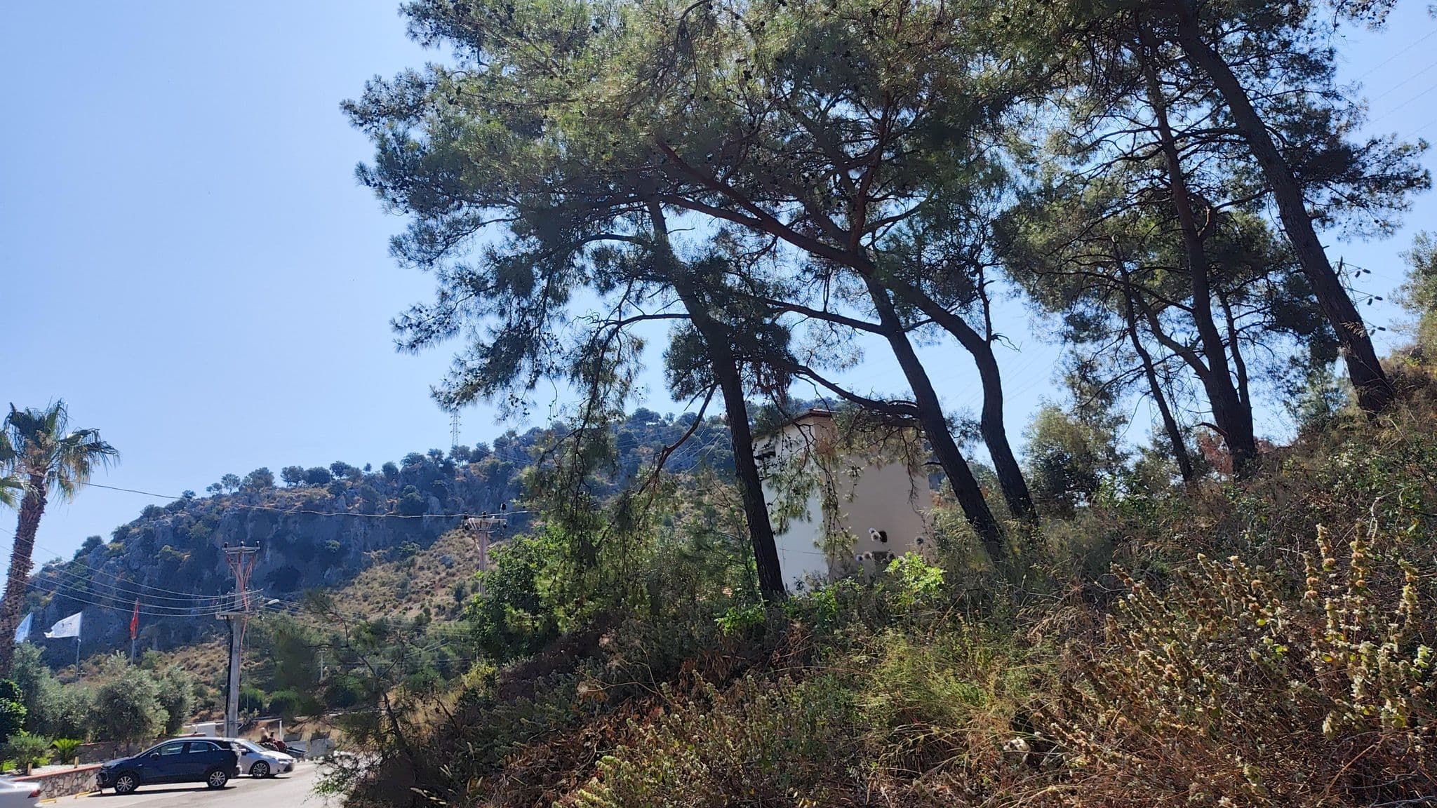 Street view near Rose Apart Hotel, Sarigerme — © steelrat (CC BY-SA · Mapillary)