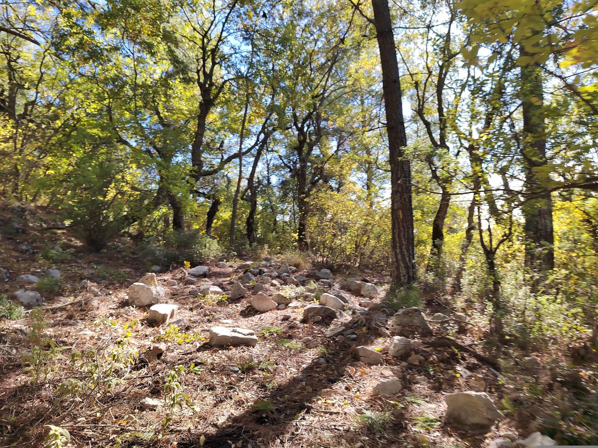 Street view near Place for 1 tent with nice view, Tekirova — © pavelmelnikov (CC BY-SA · Mapillary)