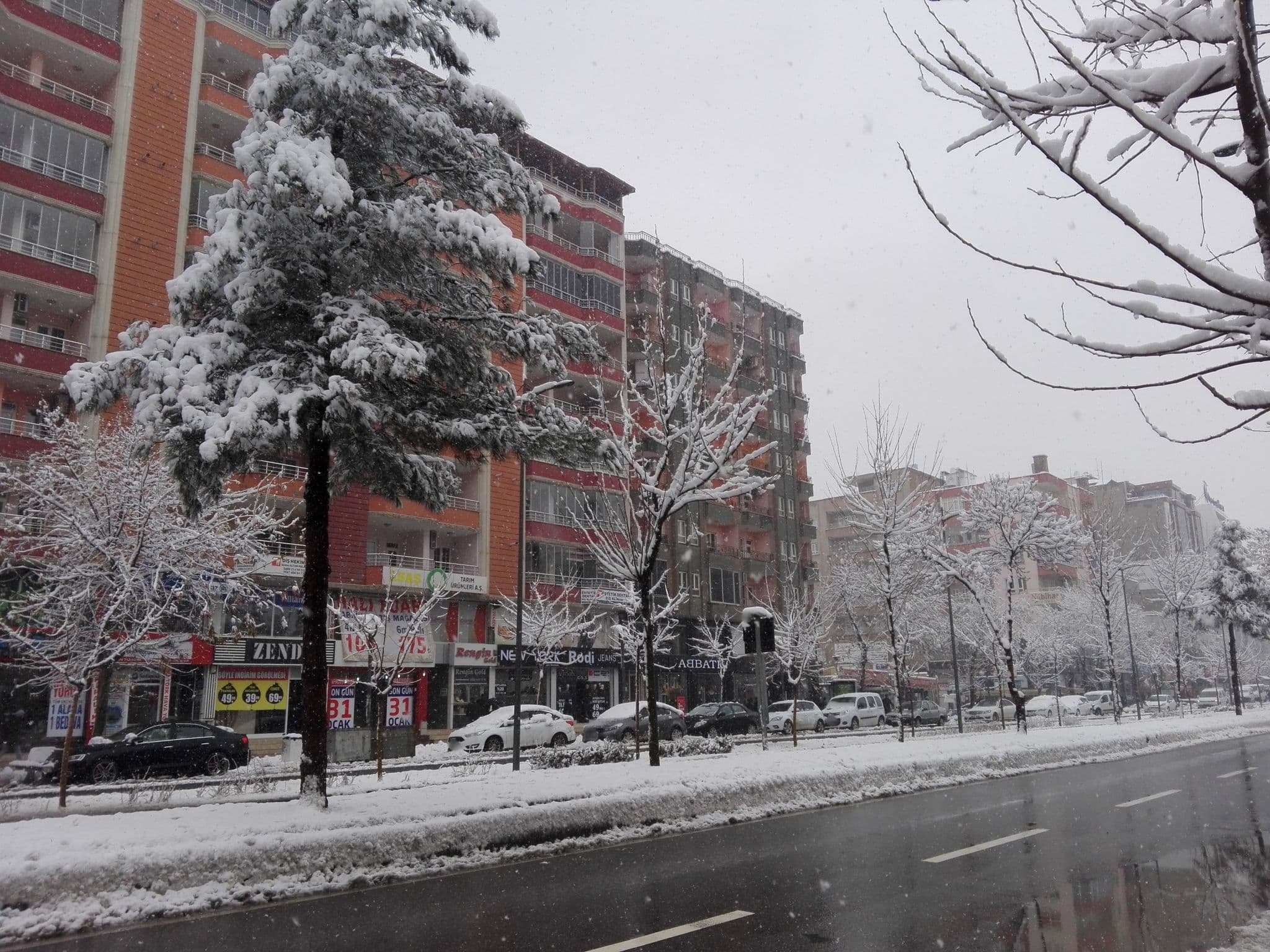 Street view near Batman Öğretmenevi, Batman — © nesim (CC BY-SA · Mapillary)