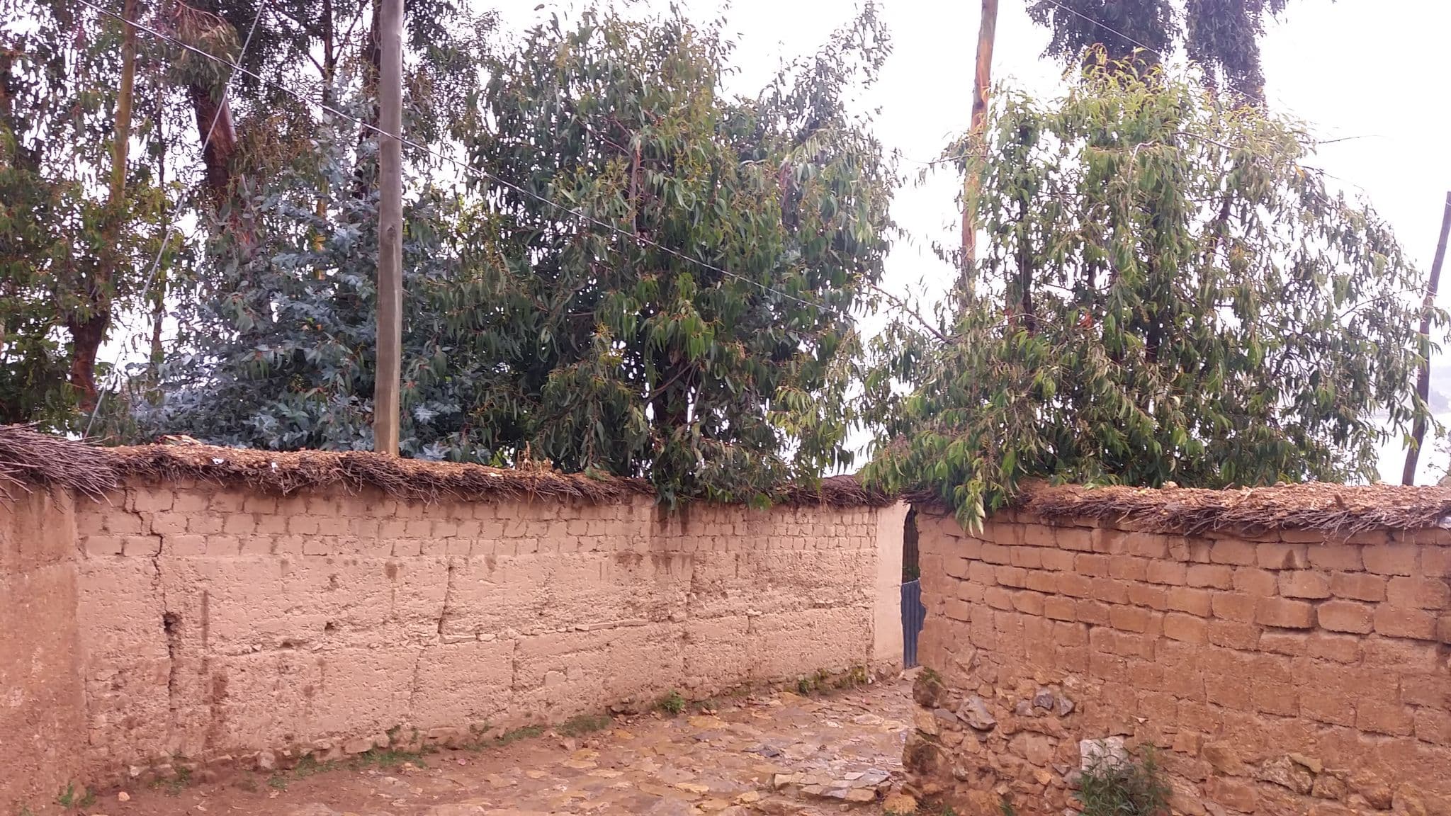Street view near Posada del Inca Ecolodge, Yumani — © 5m4u9 (CC BY-SA · Mapillary)