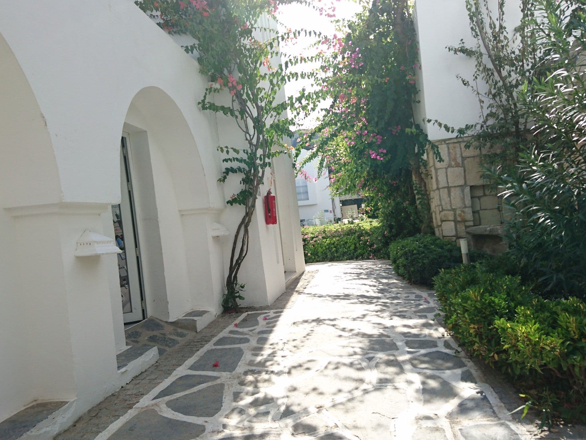 Street view near Salmakis Resort & Spa, Bodrum — © thebiker (CC BY-SA · Mapillary)