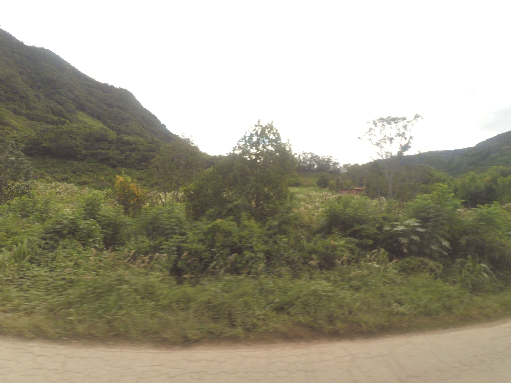 Street view near Cuevas, Samaipata — © yoviajo (CC BY-SA · Mapillary)