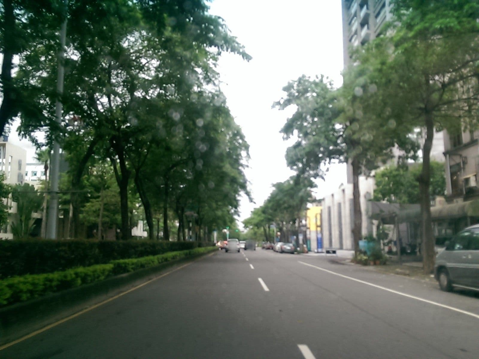 Street view near Casa Terigio, Taichung — © littlebtc (CC BY-SA · Mapillary)
