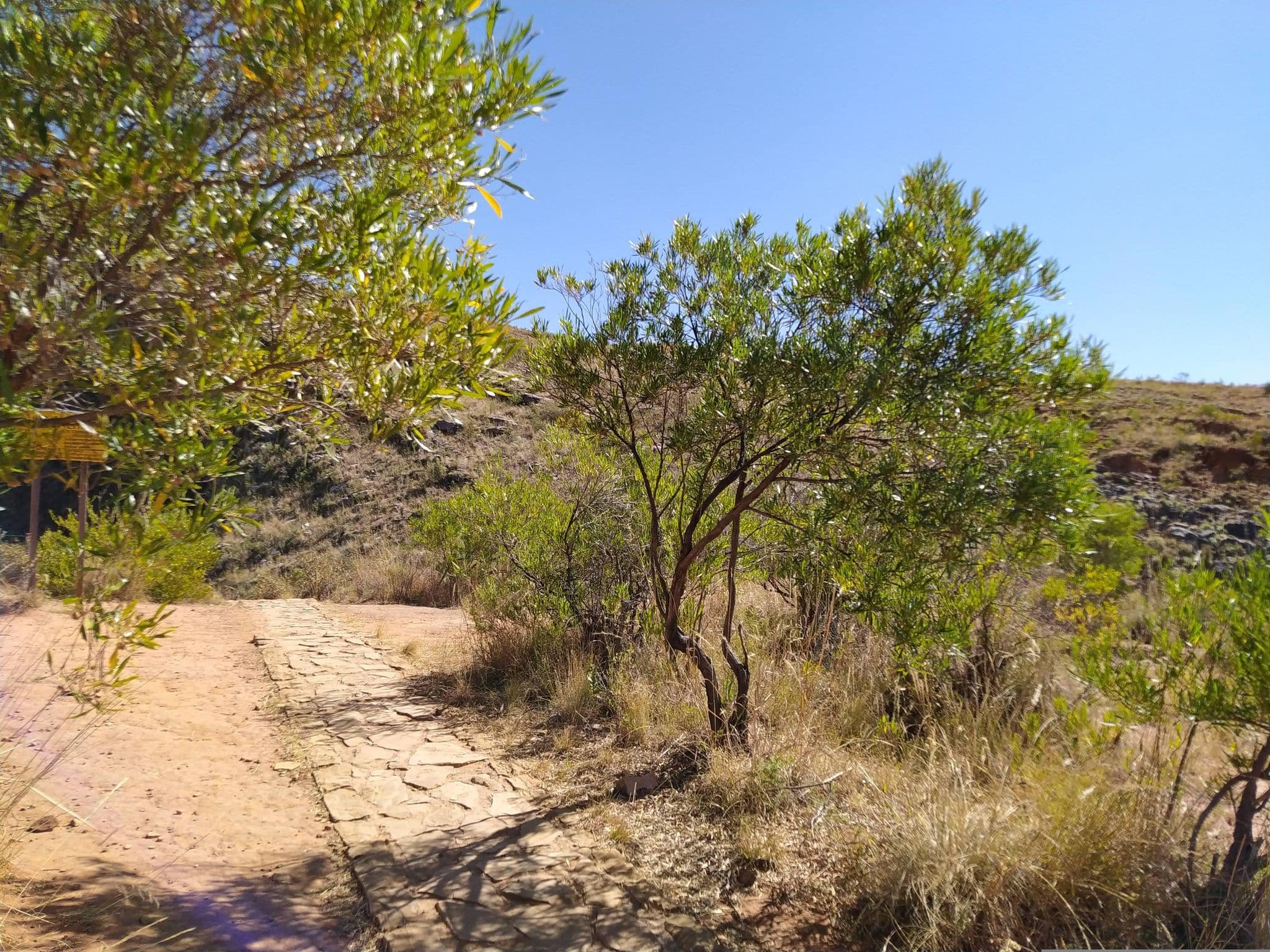 Street view near Campamento Secundario Umajalanta, Mizque — © MayraG (CC BY-SA · Mapillary)