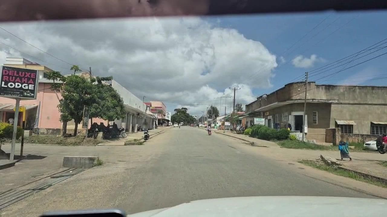 Street view near New Ruaha International Lodge, Iringa — © roadroid (CC BY-SA · Mapillary)