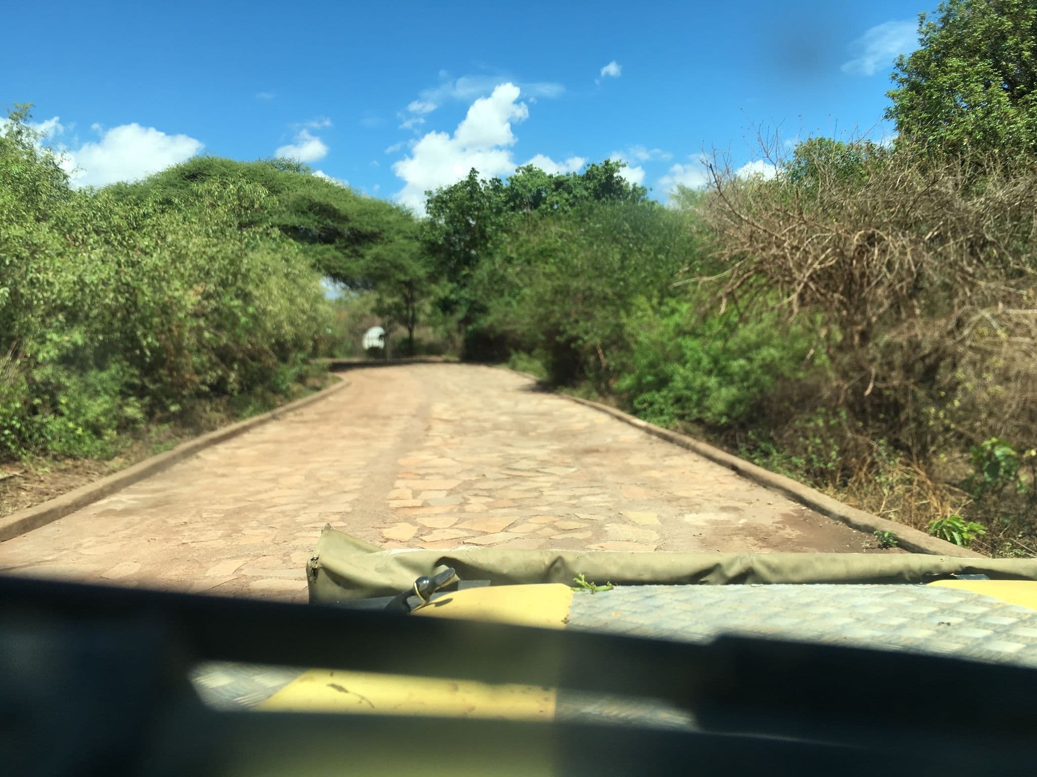 Street view near Bandas, Mto wa Mbu — © cparg (CC BY-SA · Mapillary)